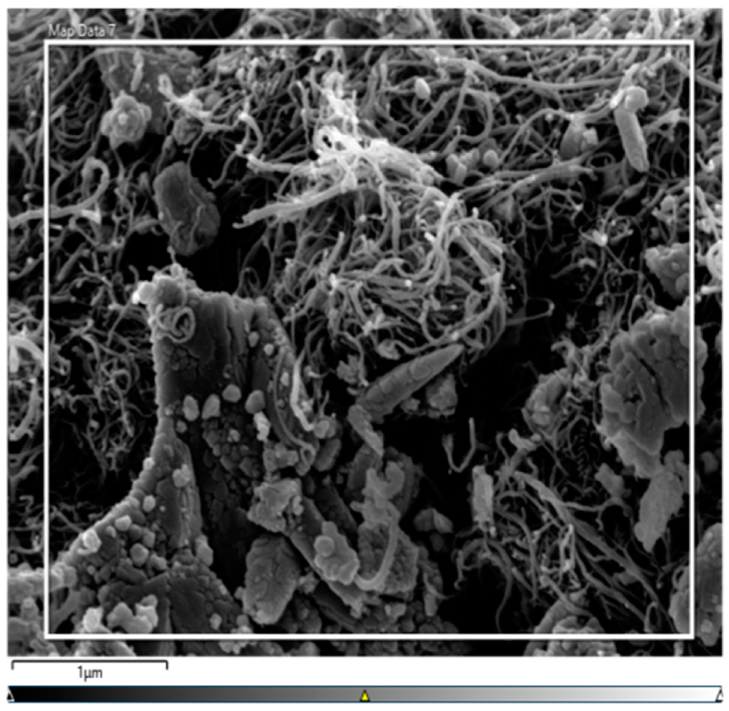 Processes 11 02779 g008