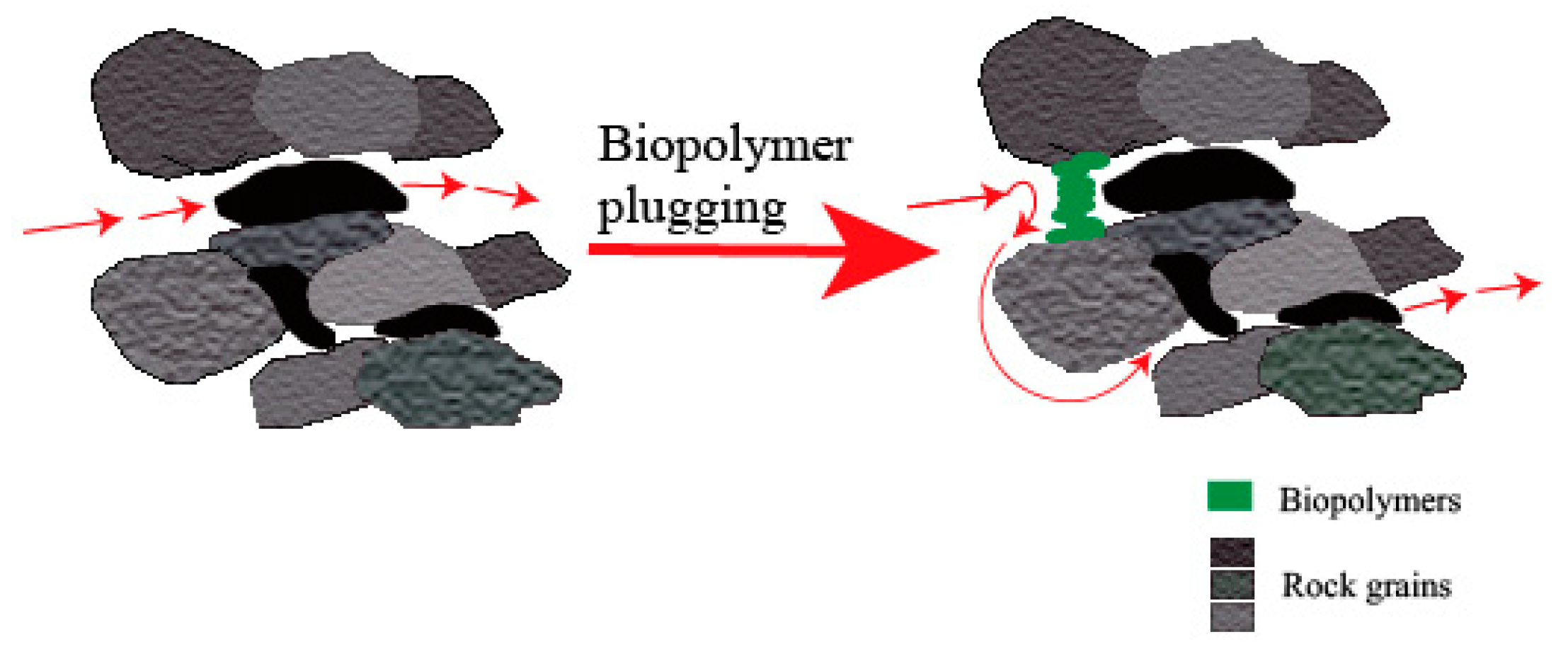 Processes 11 02853 g004 Processes 11 02853 g004