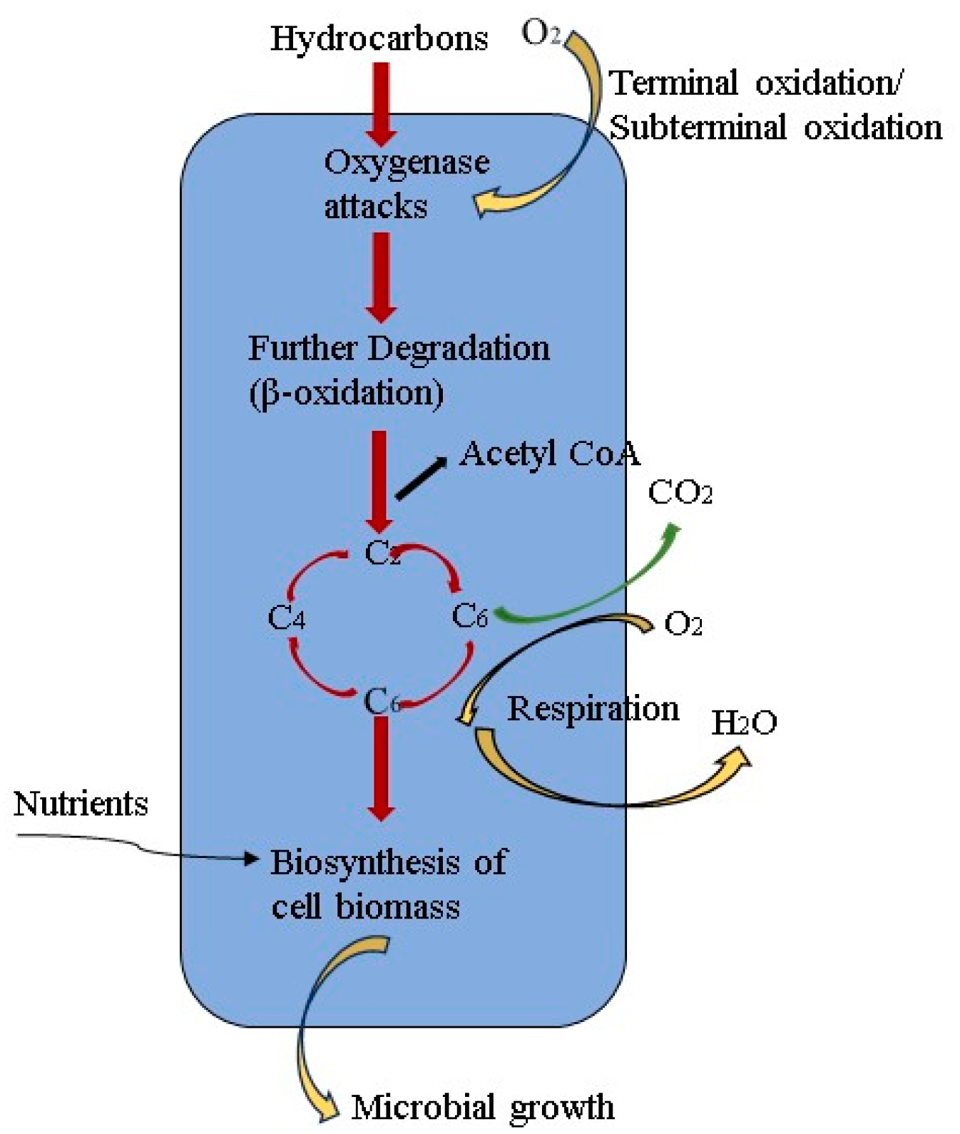 Processes 11 02853 g005 Processes 11 02853 g005