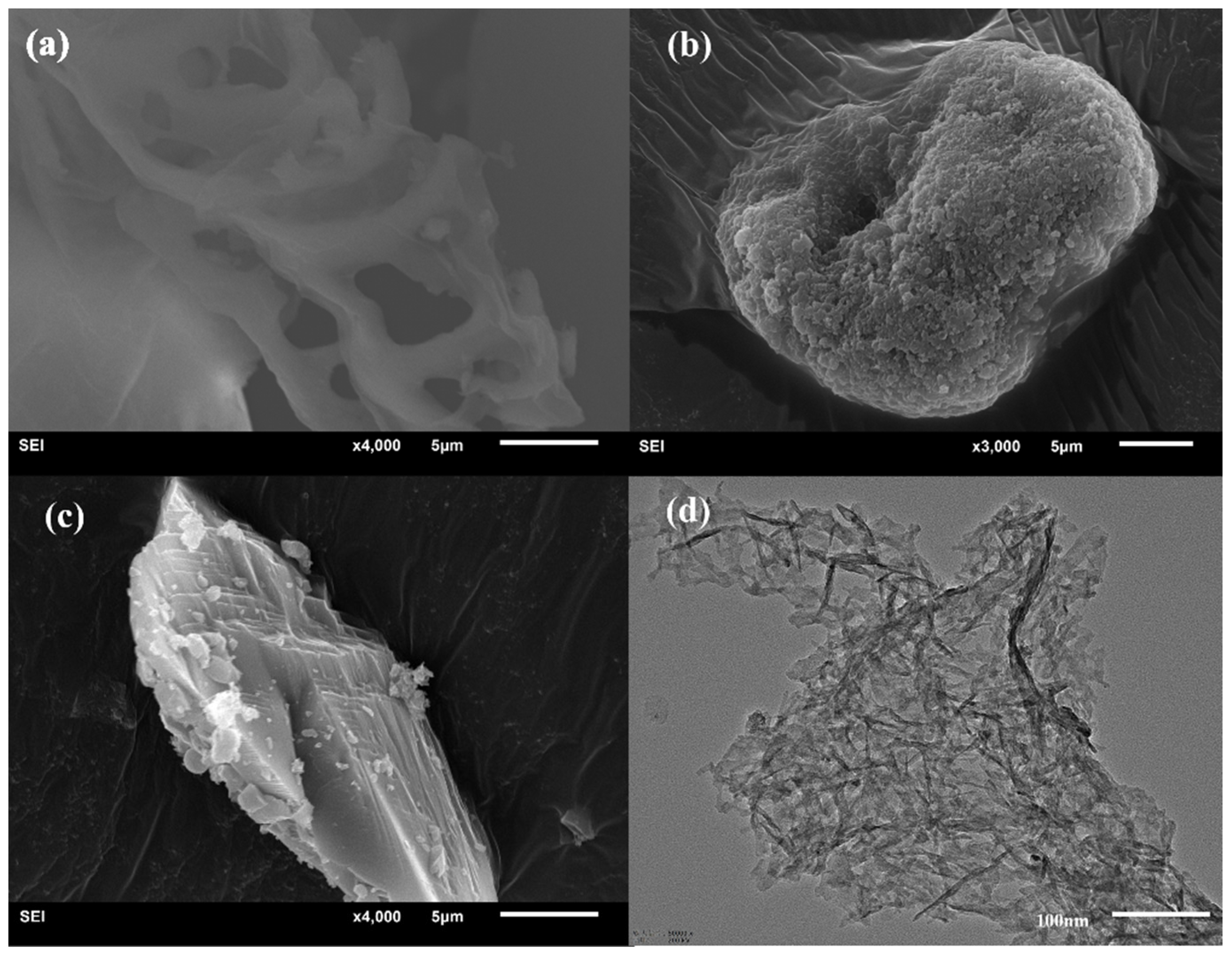 Processes 11 02884 g004