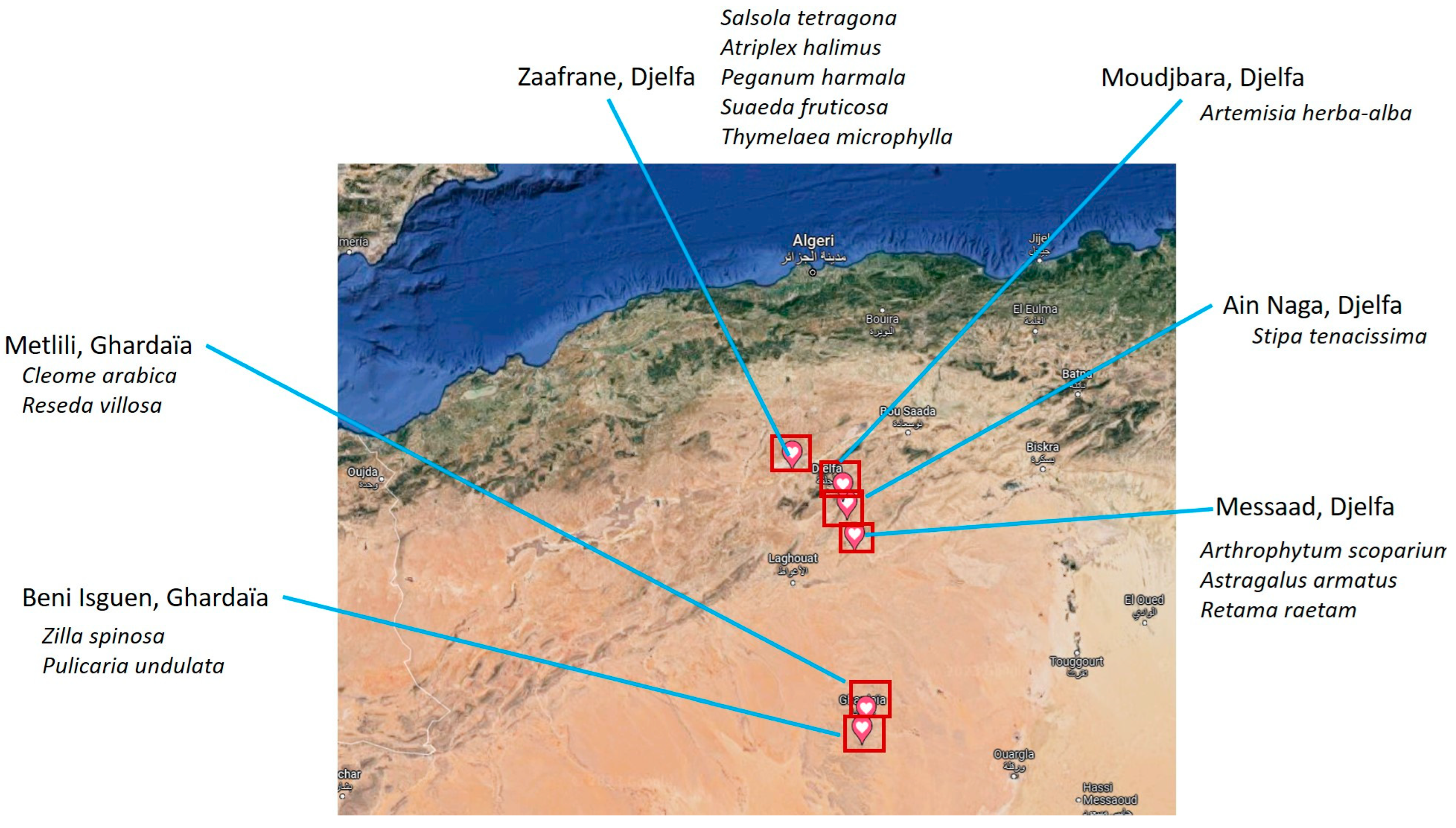 Processes 11 02907 g001