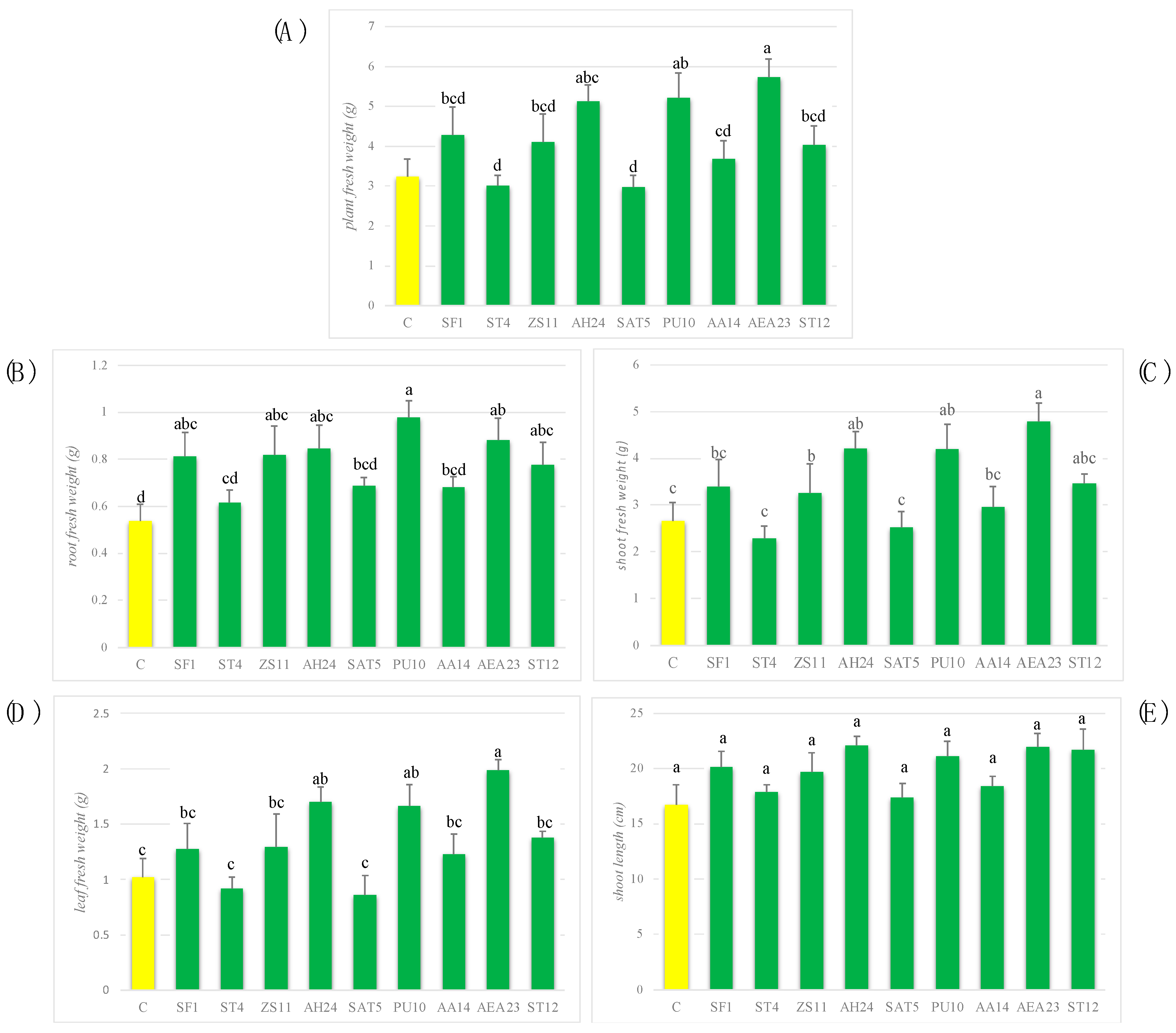 Processes 11 02907 g004