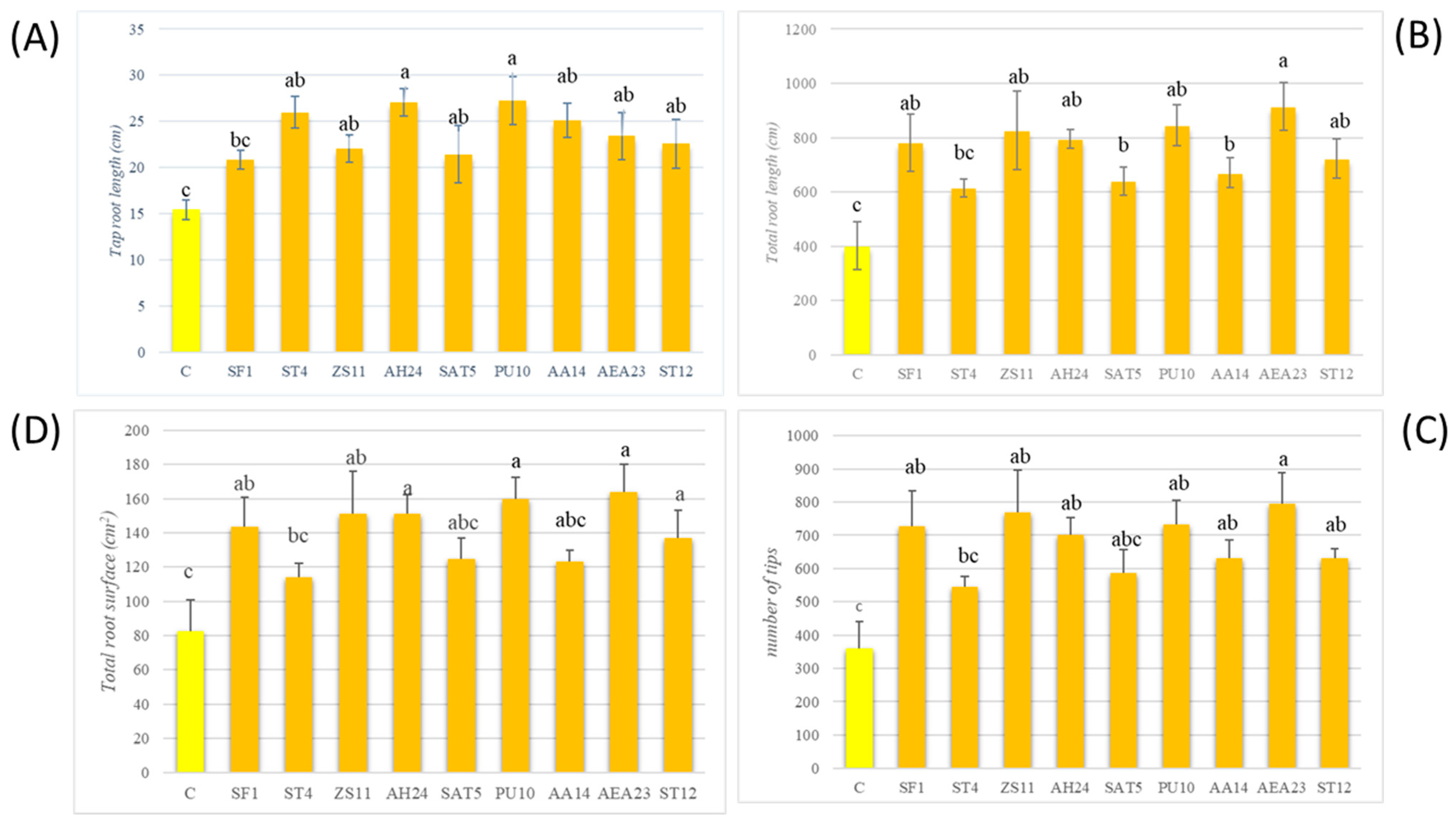Processes 11 02907 g005