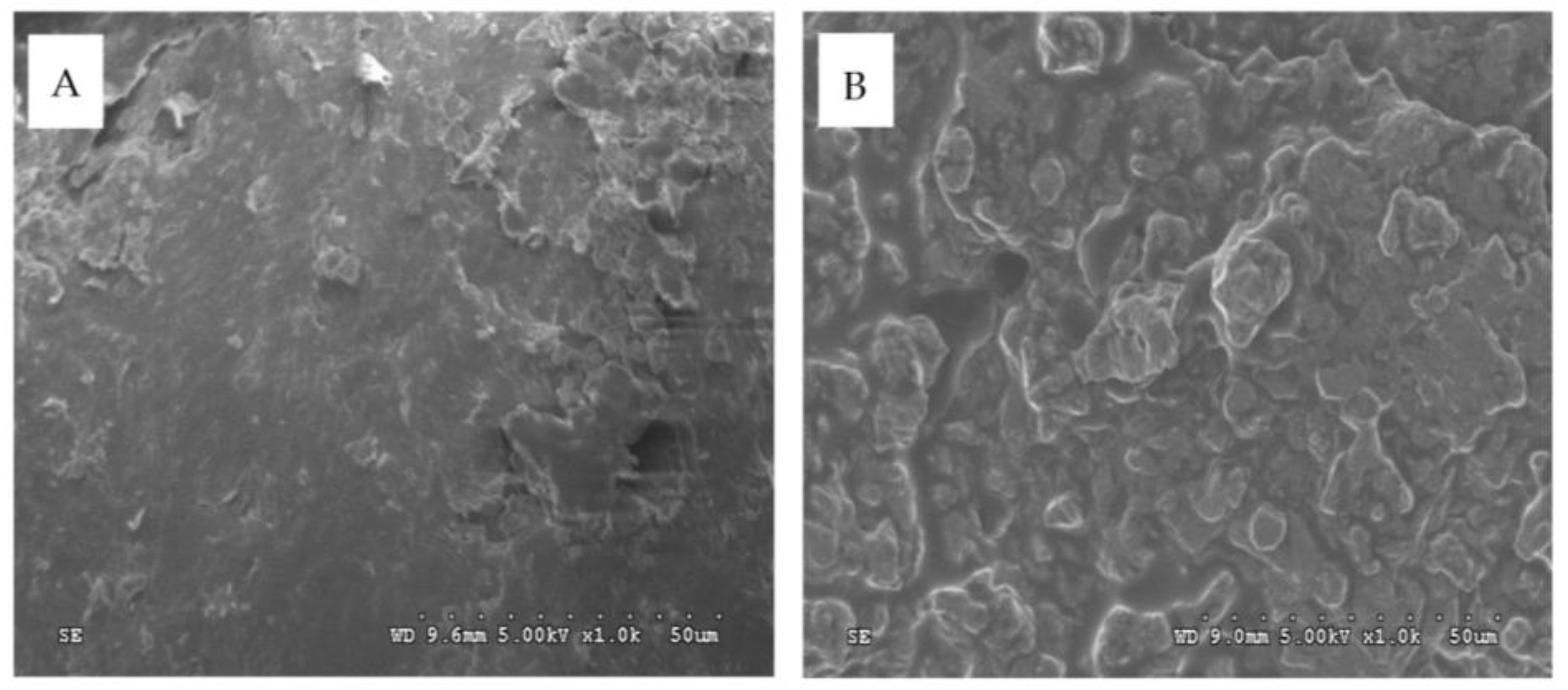 Processes 11 02920 g002