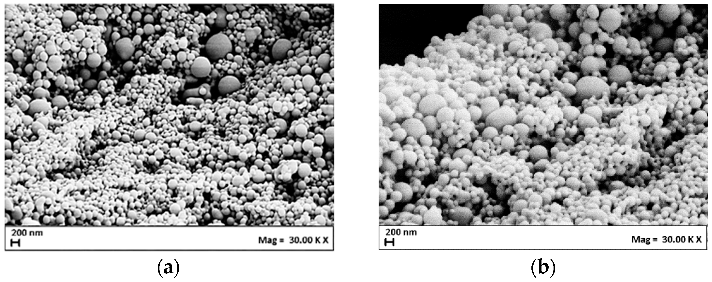 Processes 11 02957 g002