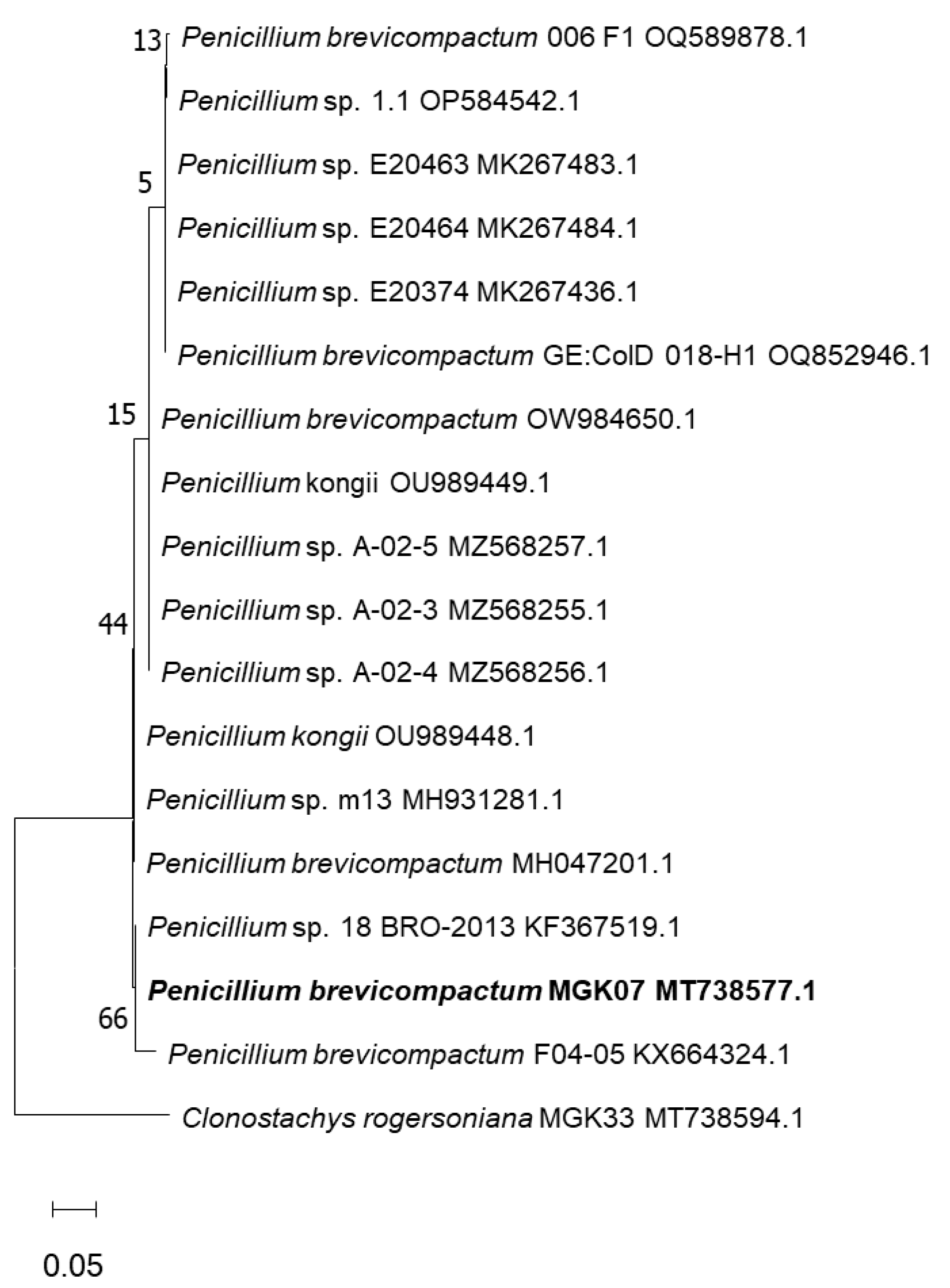 Processes 11 02963 g001