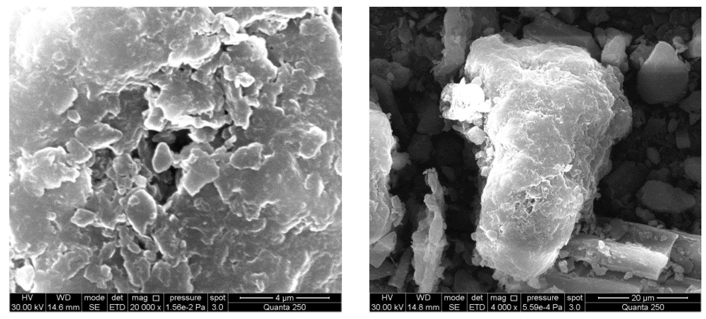 Processes 11 03118 g004