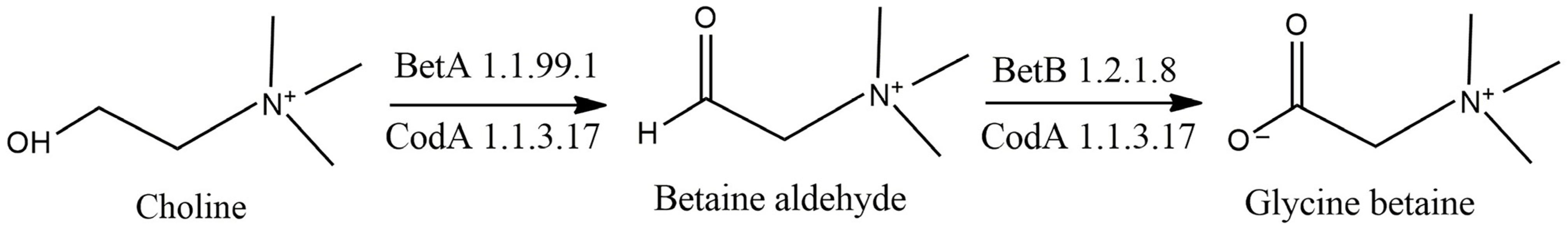 Processes 11 03184 g001