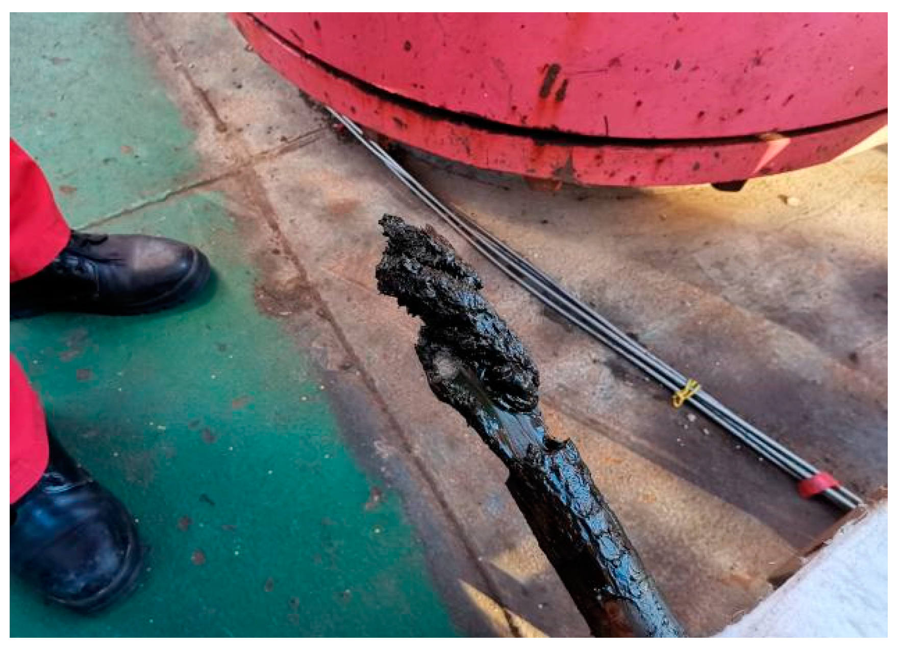 Processes 11 03196 g001