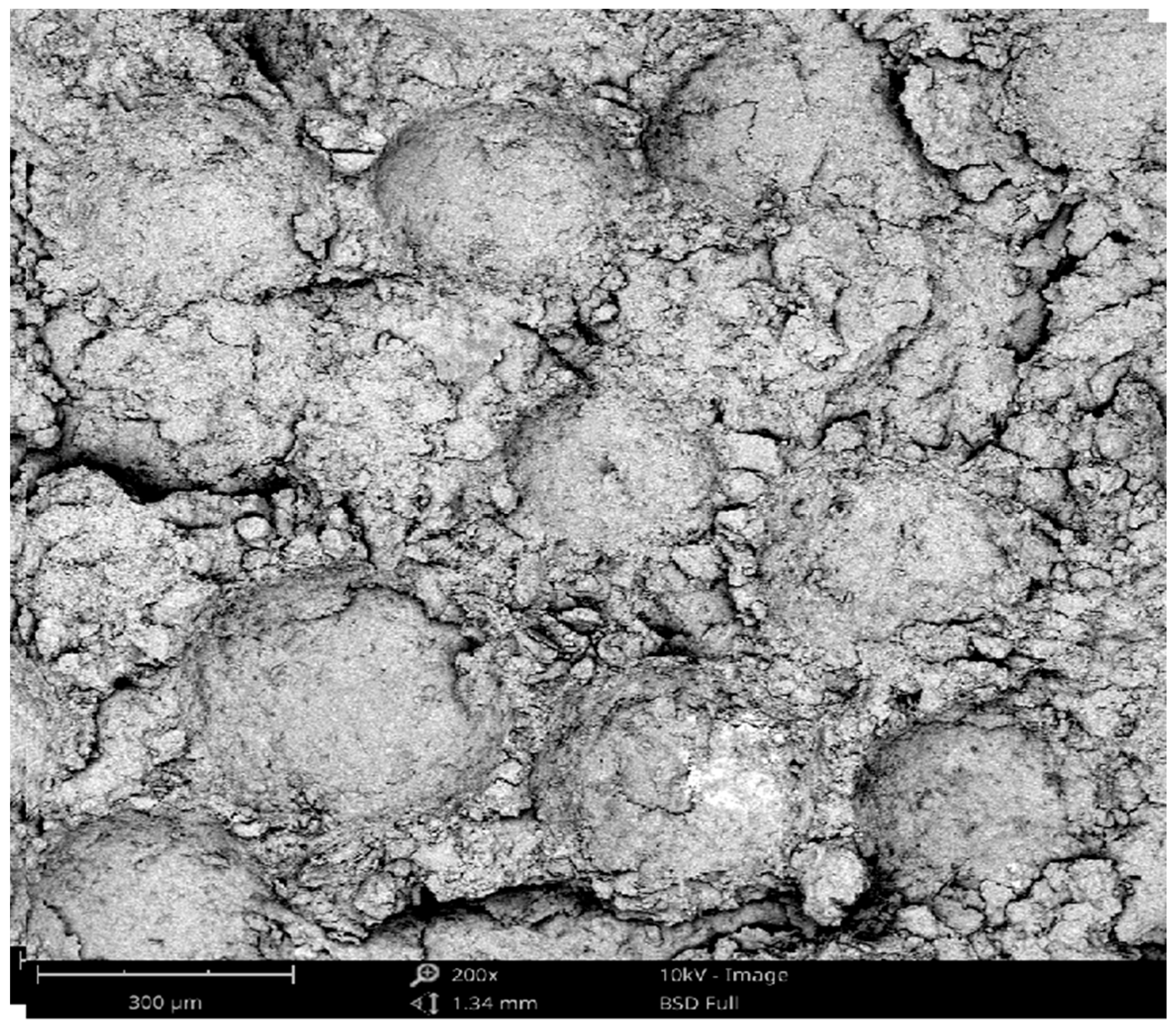 Processes 11 03234 g006