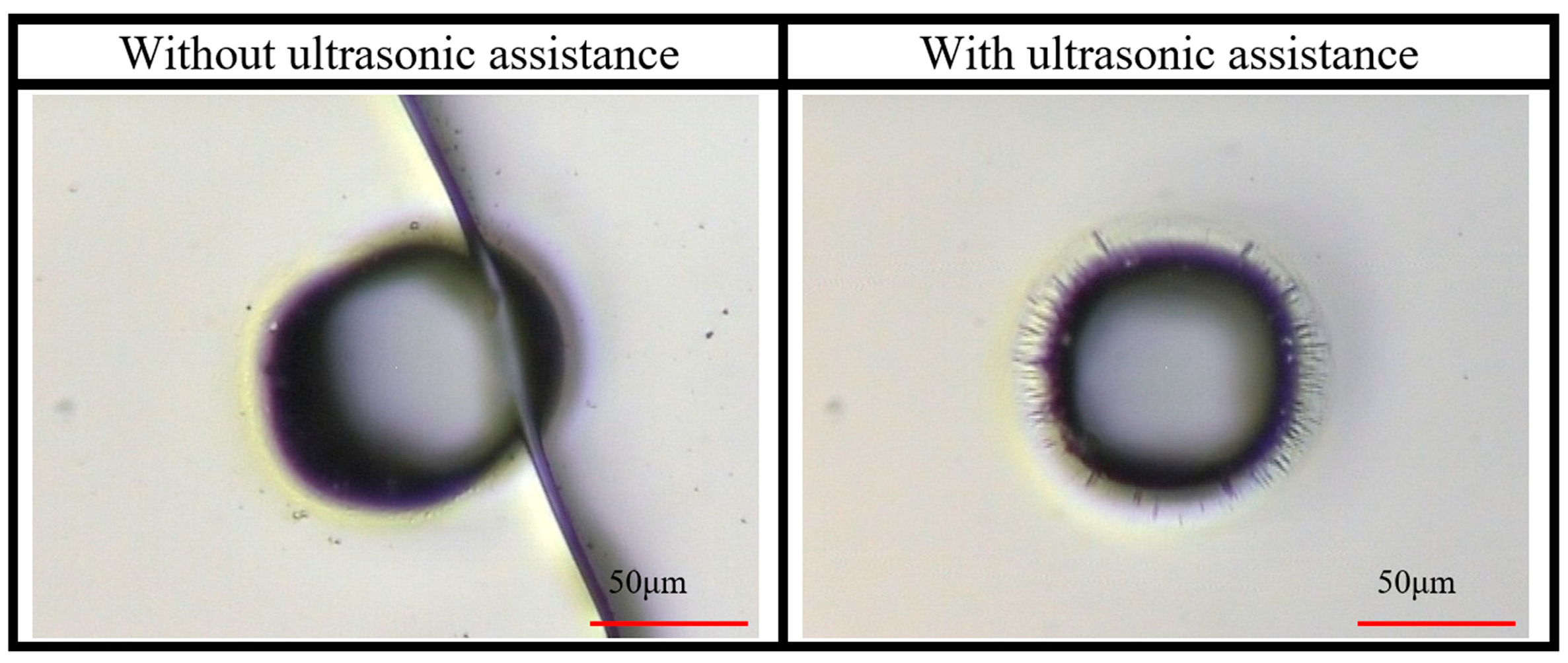 Processes 11 03300 g008