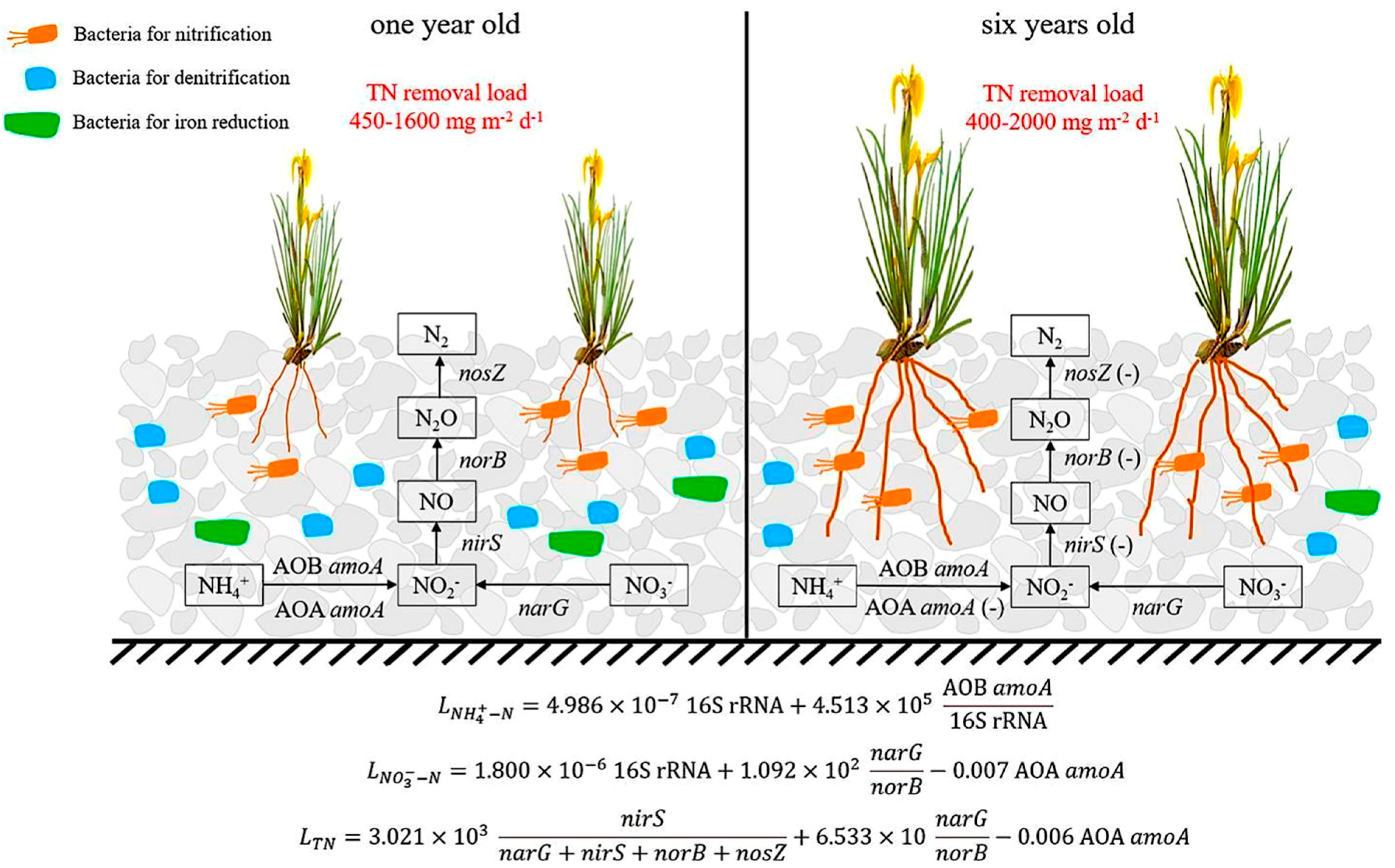 Processes 11 03334 g005