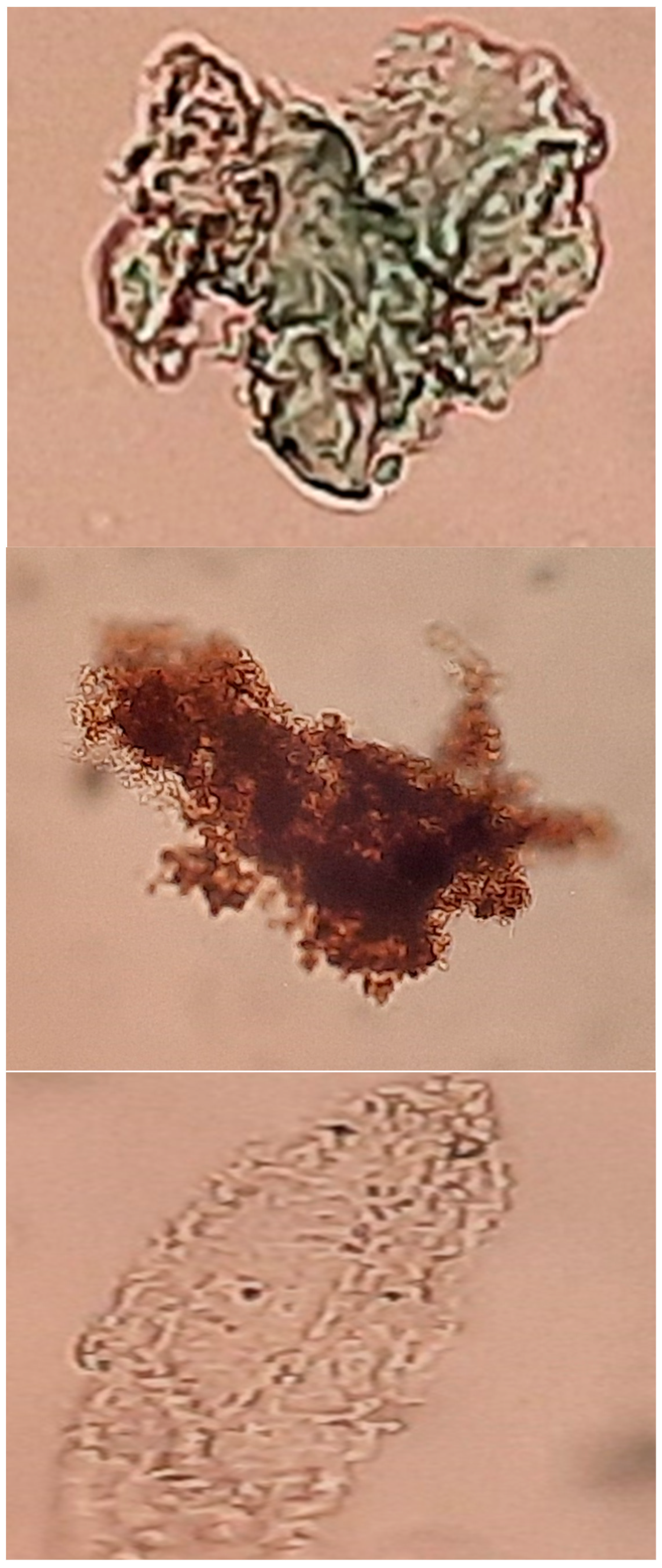 Processes 11 03354 g007