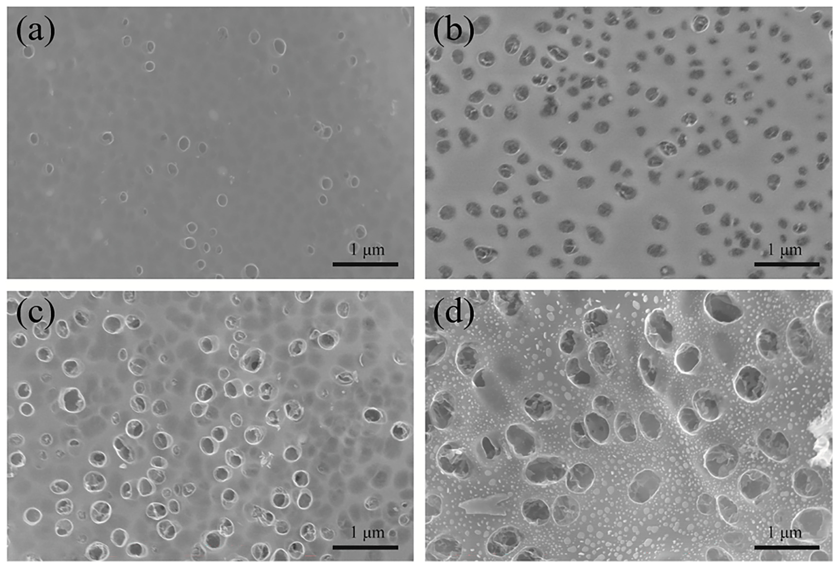 Processes 11 03355 g001