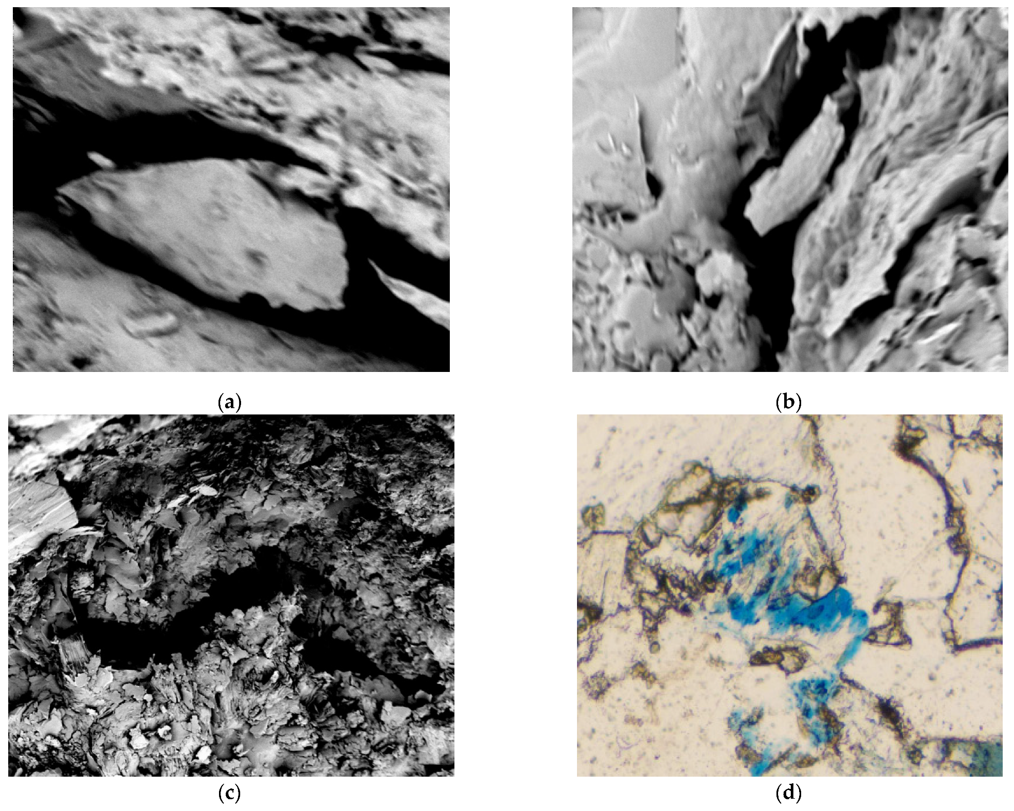 Processes 11 03411 g015