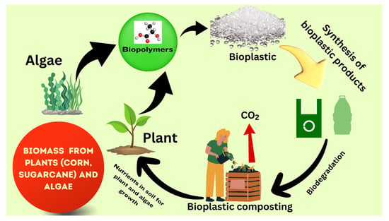 Processes | Free Full-Text | Ecotoxicological Impact Of Bioplastics ...