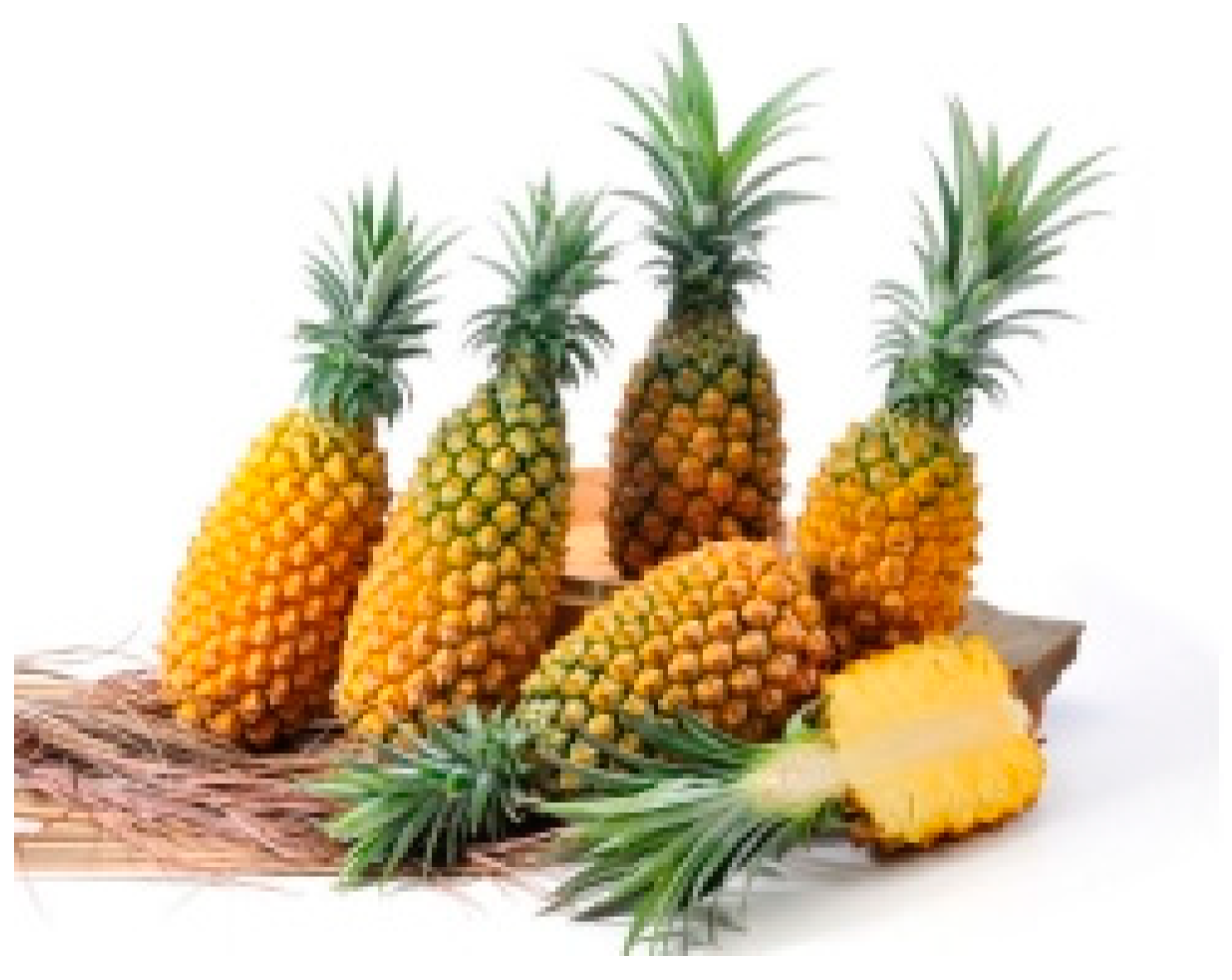 Processes 12 00015 g020