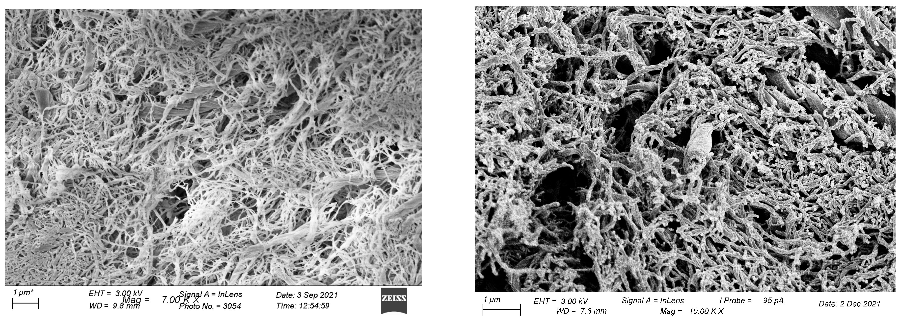 Processes 12 00017 g005