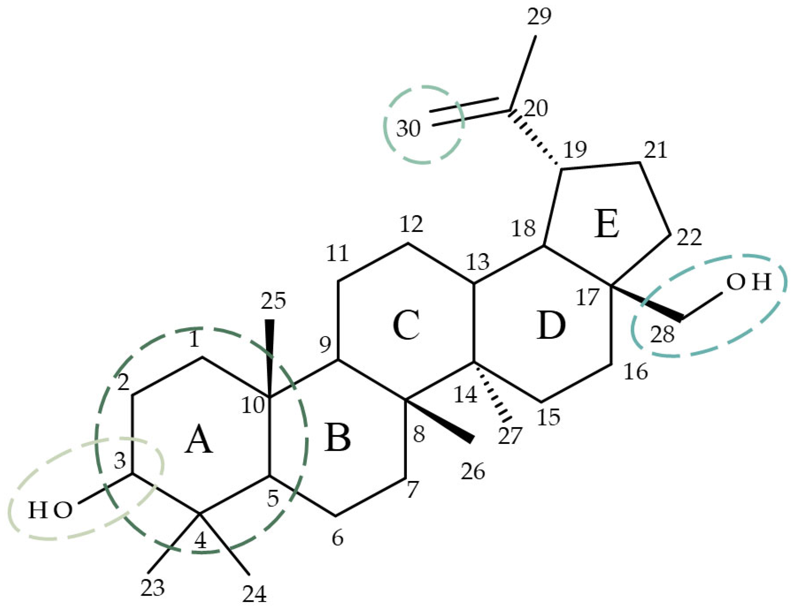 Processes 12 00024 g001