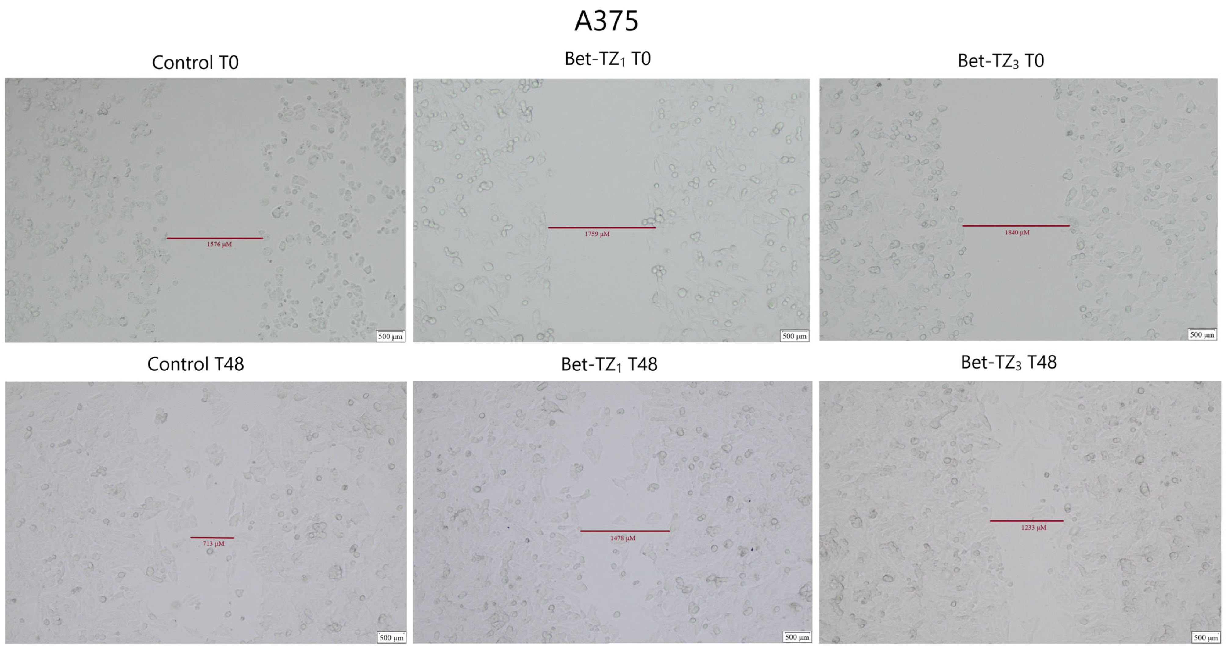 Processes 12 00024 g011