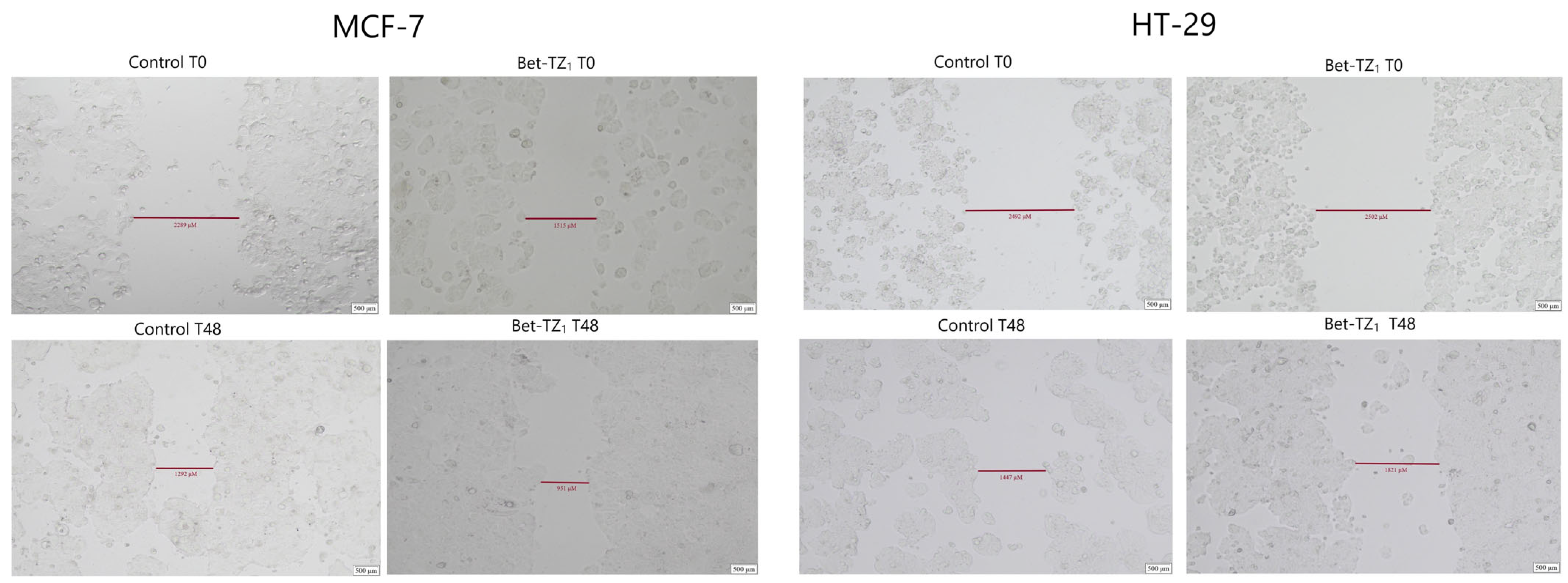 Processes 12 00024 g012