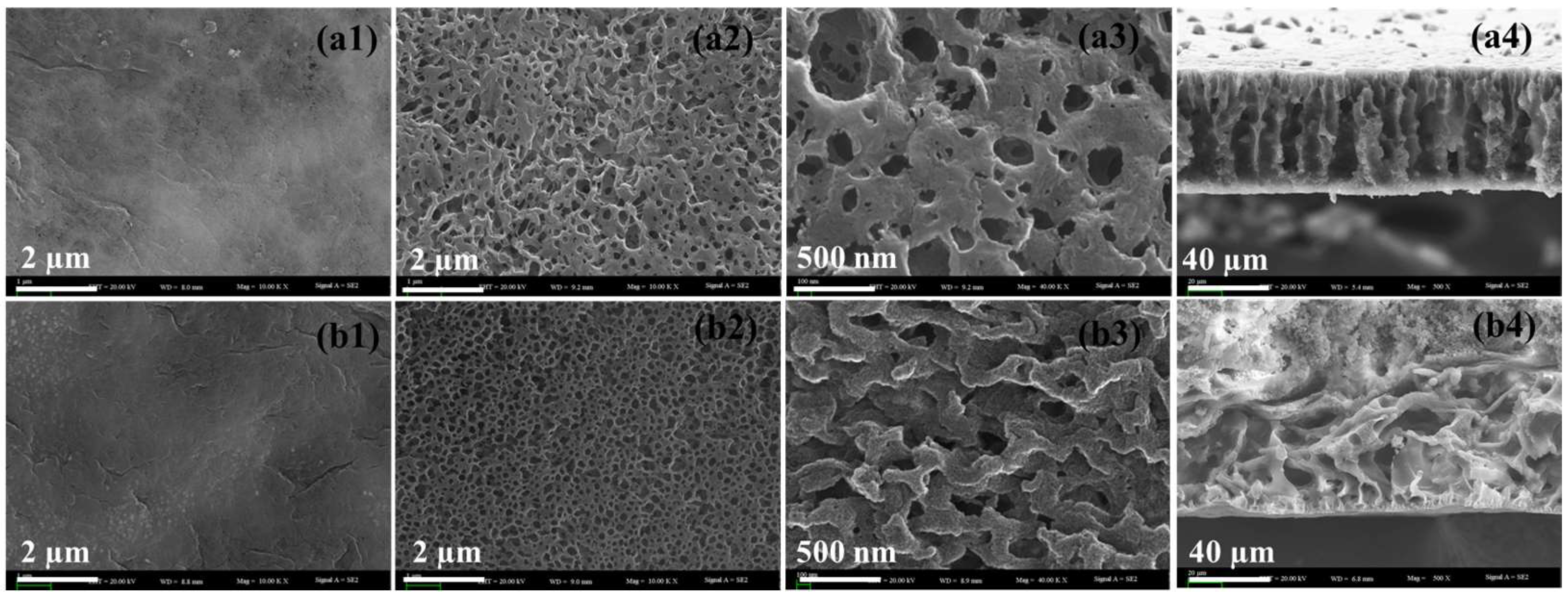 Processes 12 00030 g001