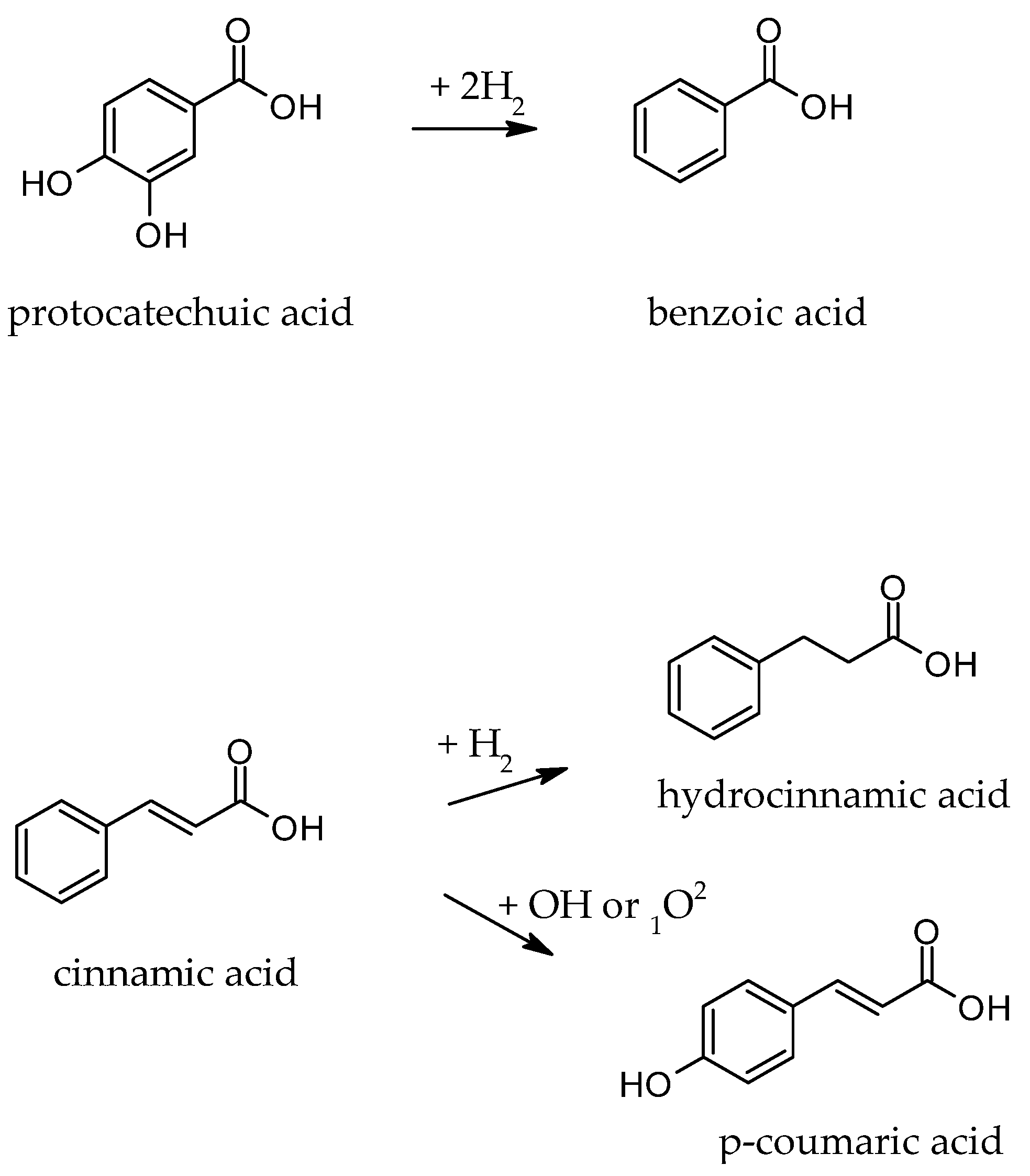 Processes 12 00073 g004
