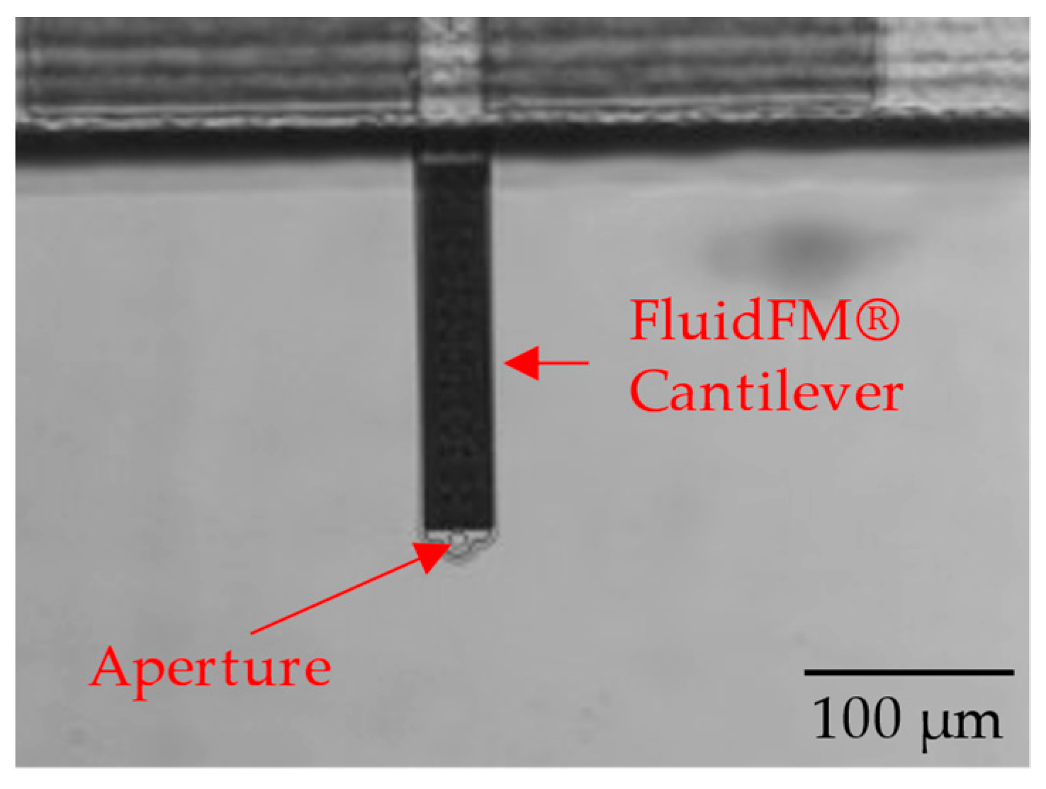 Processes 12 00099 g002