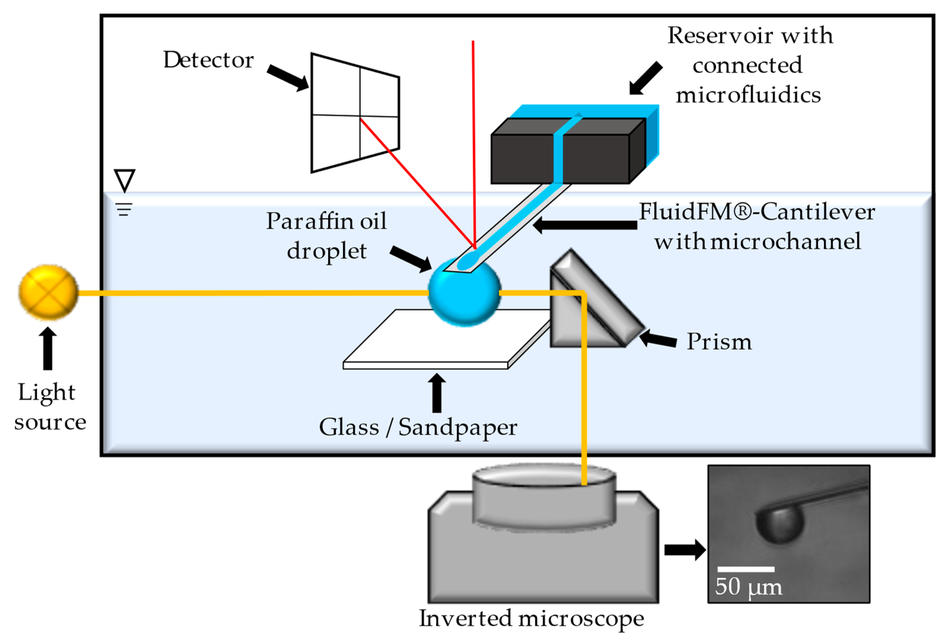 Processes 12 00099 g004