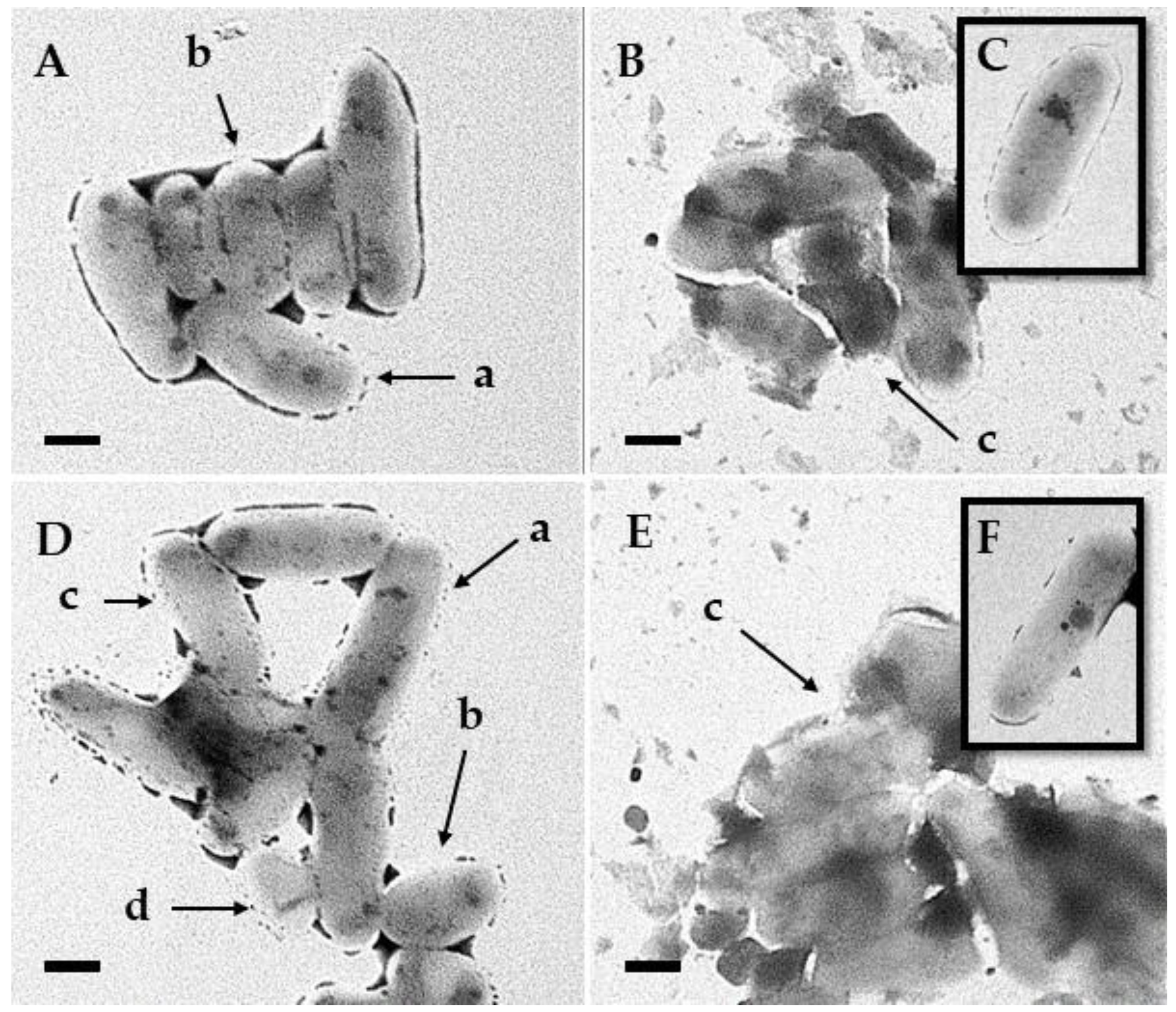 Processes 12 00111 g006 Processes 12 00111 g006