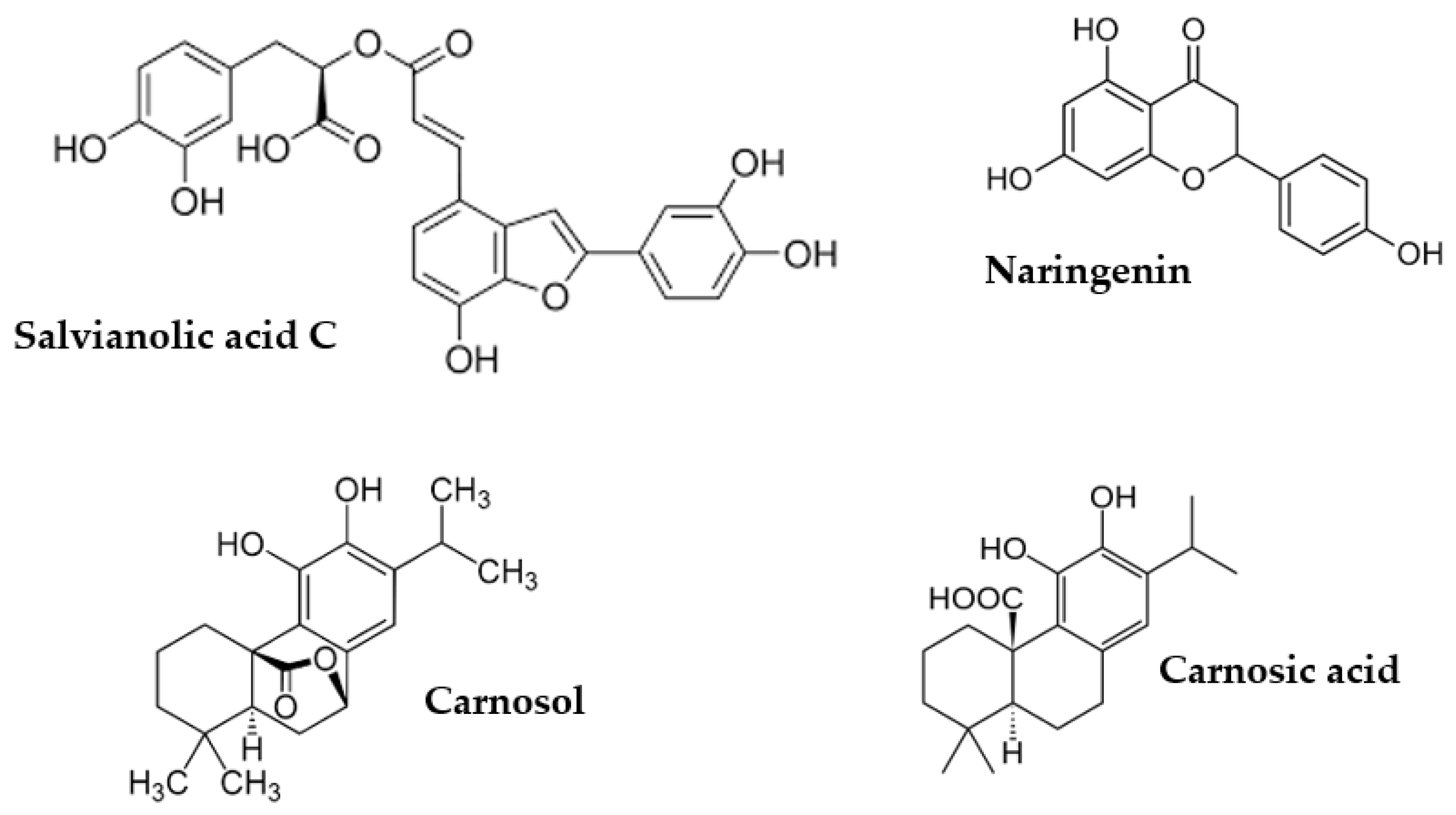 Processes 12 00140 g001b