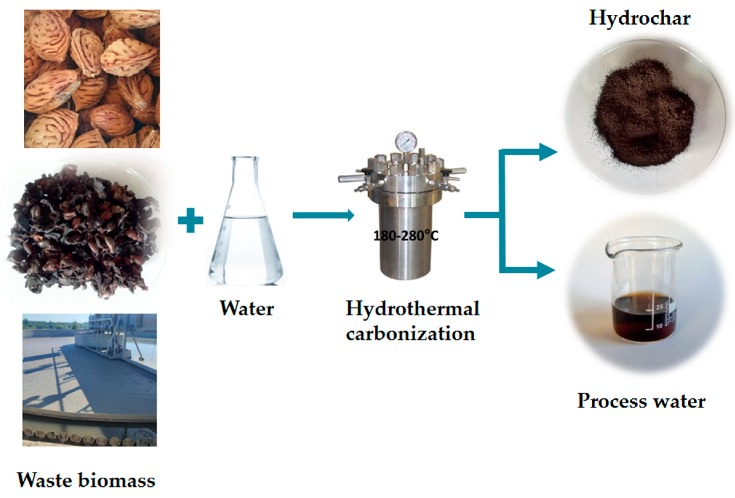 Processes | Free Full-Text | Hydrothermal Carbonization Of Waste ...