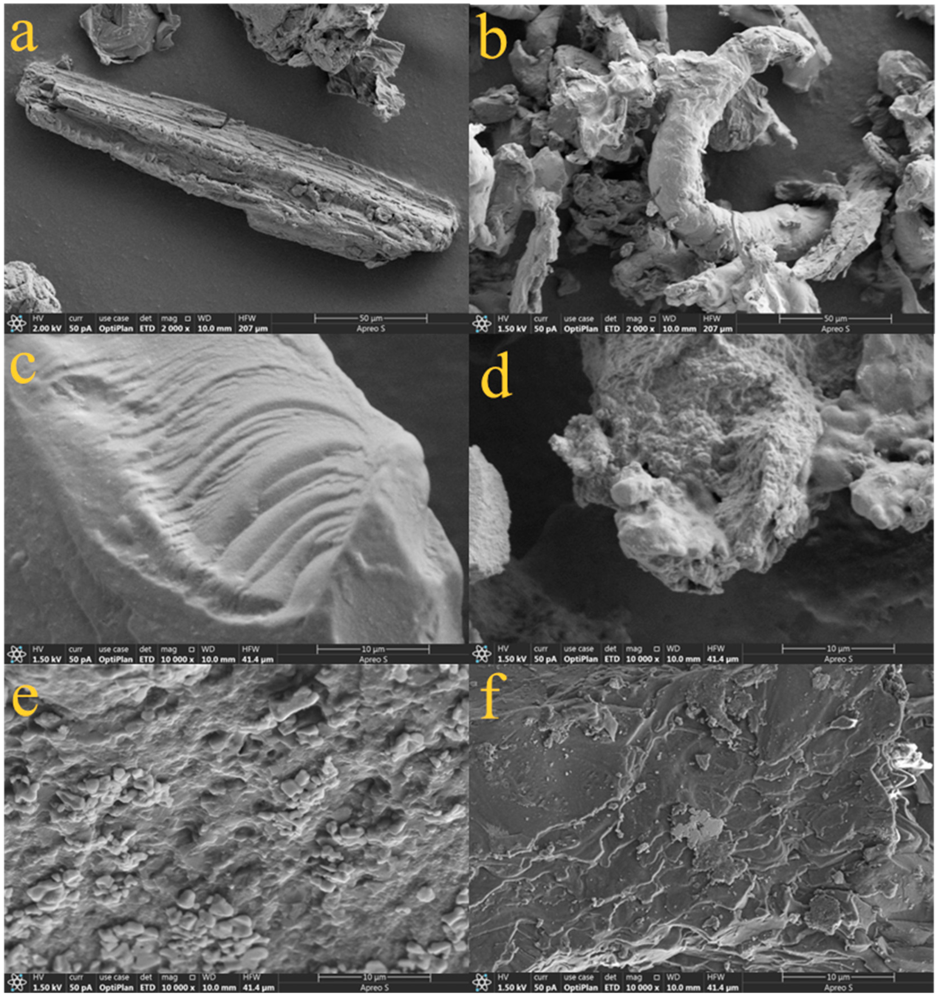 Processes 12 00224 g006