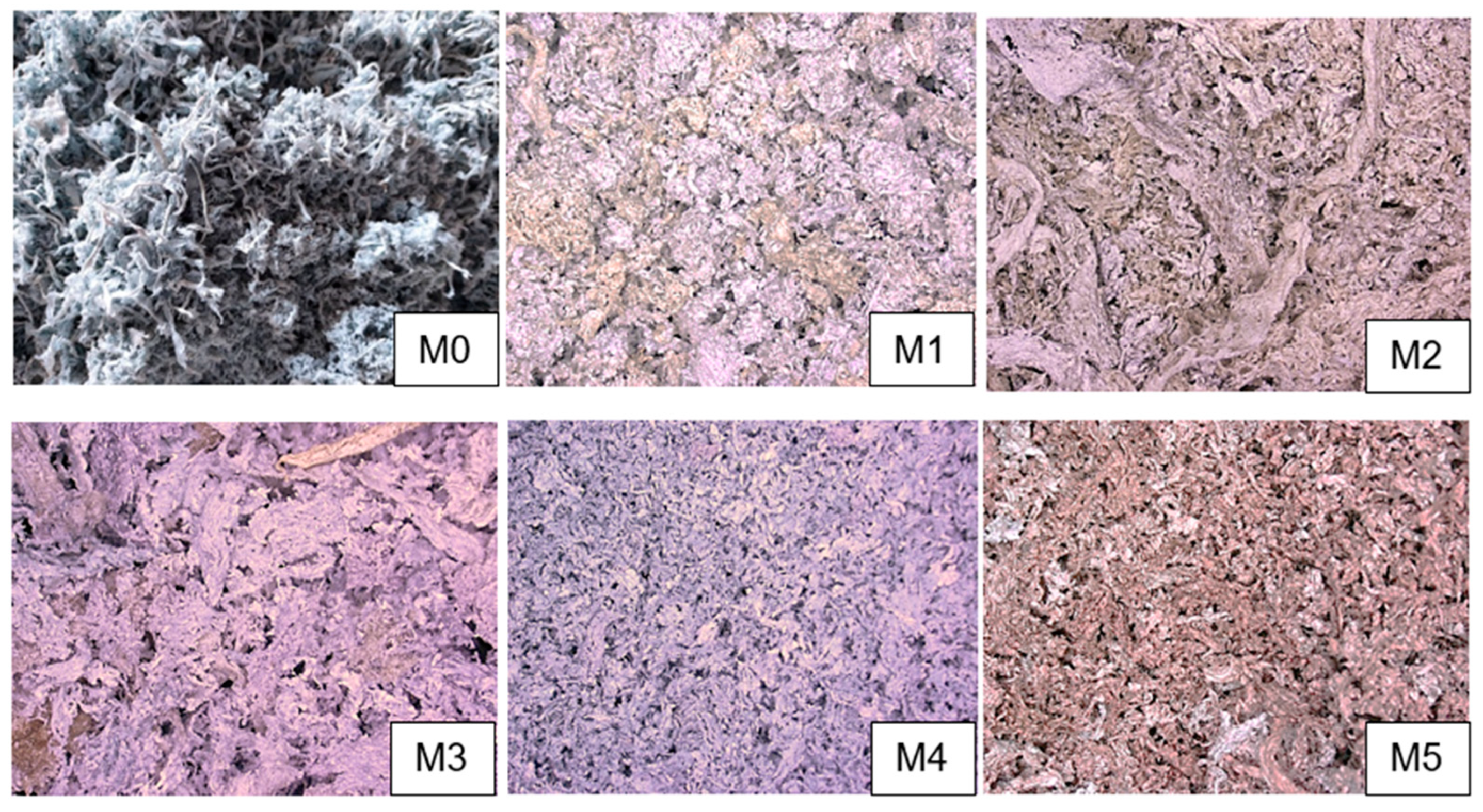 Processes 12 00228 g001