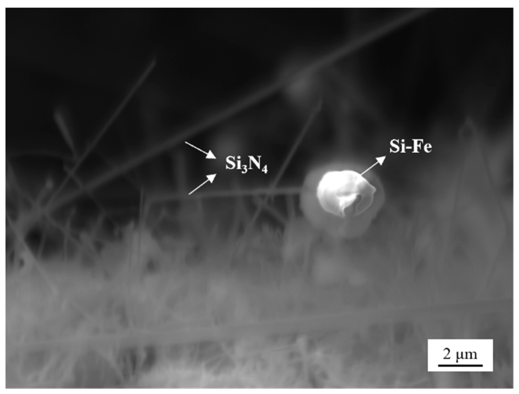 Processes 12 00301 g011