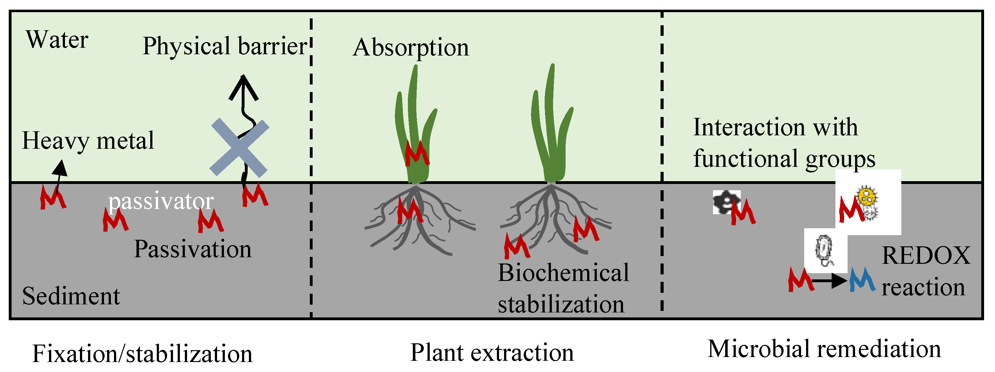 Processes 12 00311 g002