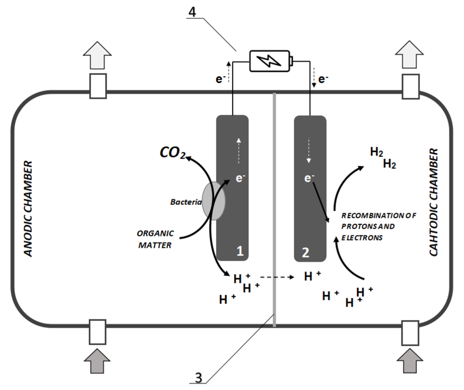 Processes 