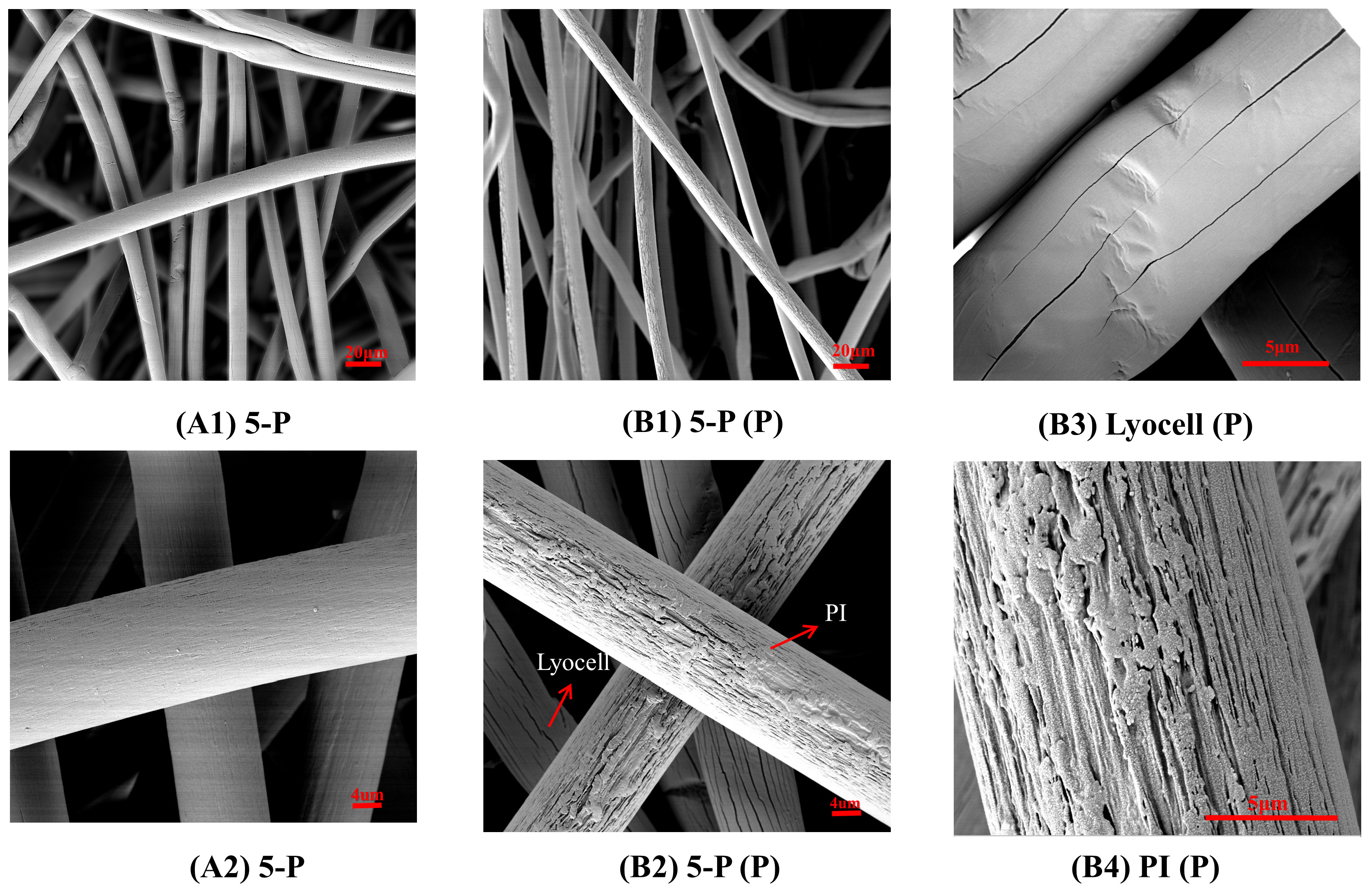 Processes 12 00354 g004