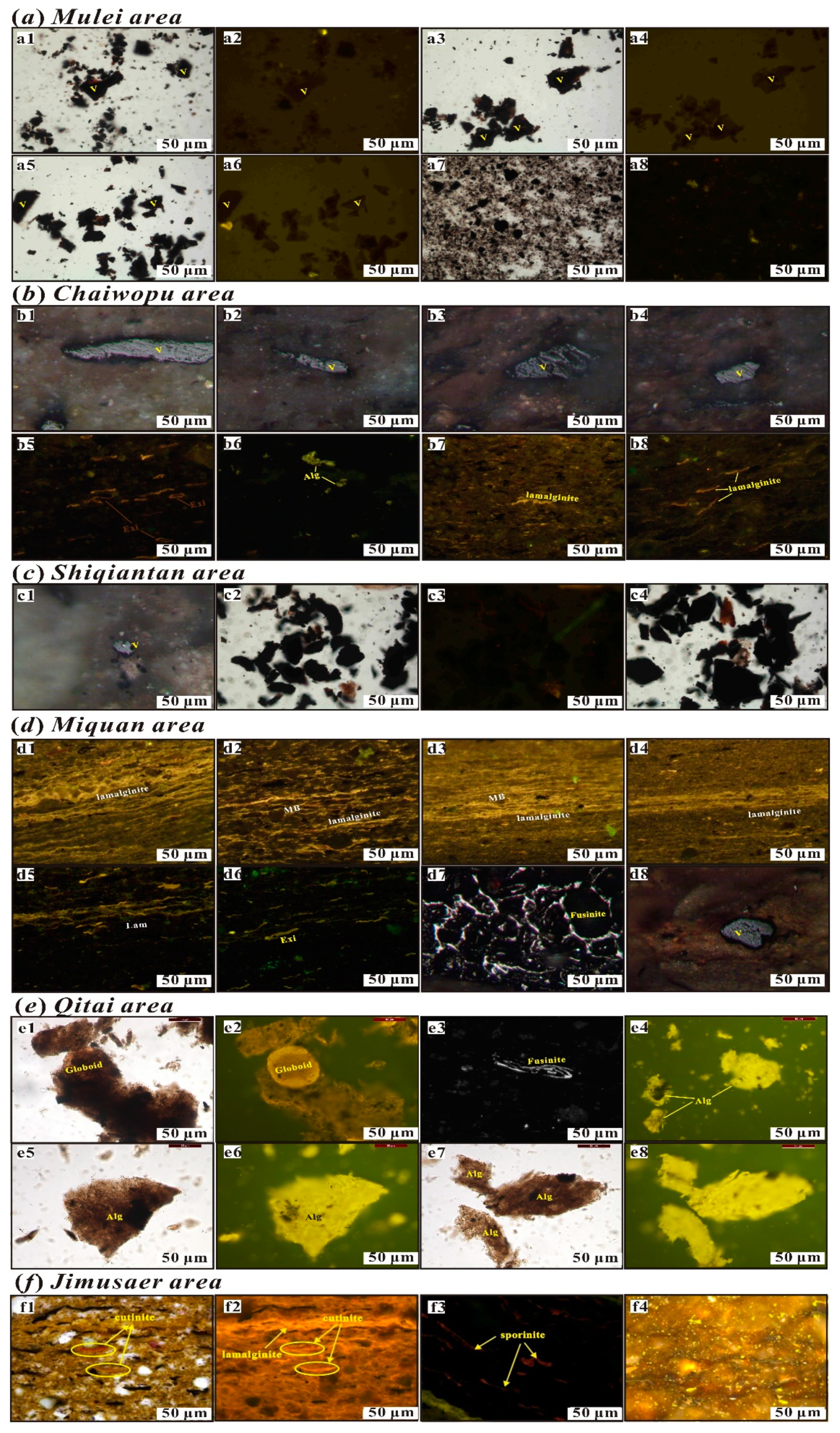 Processes 12 00356 g010