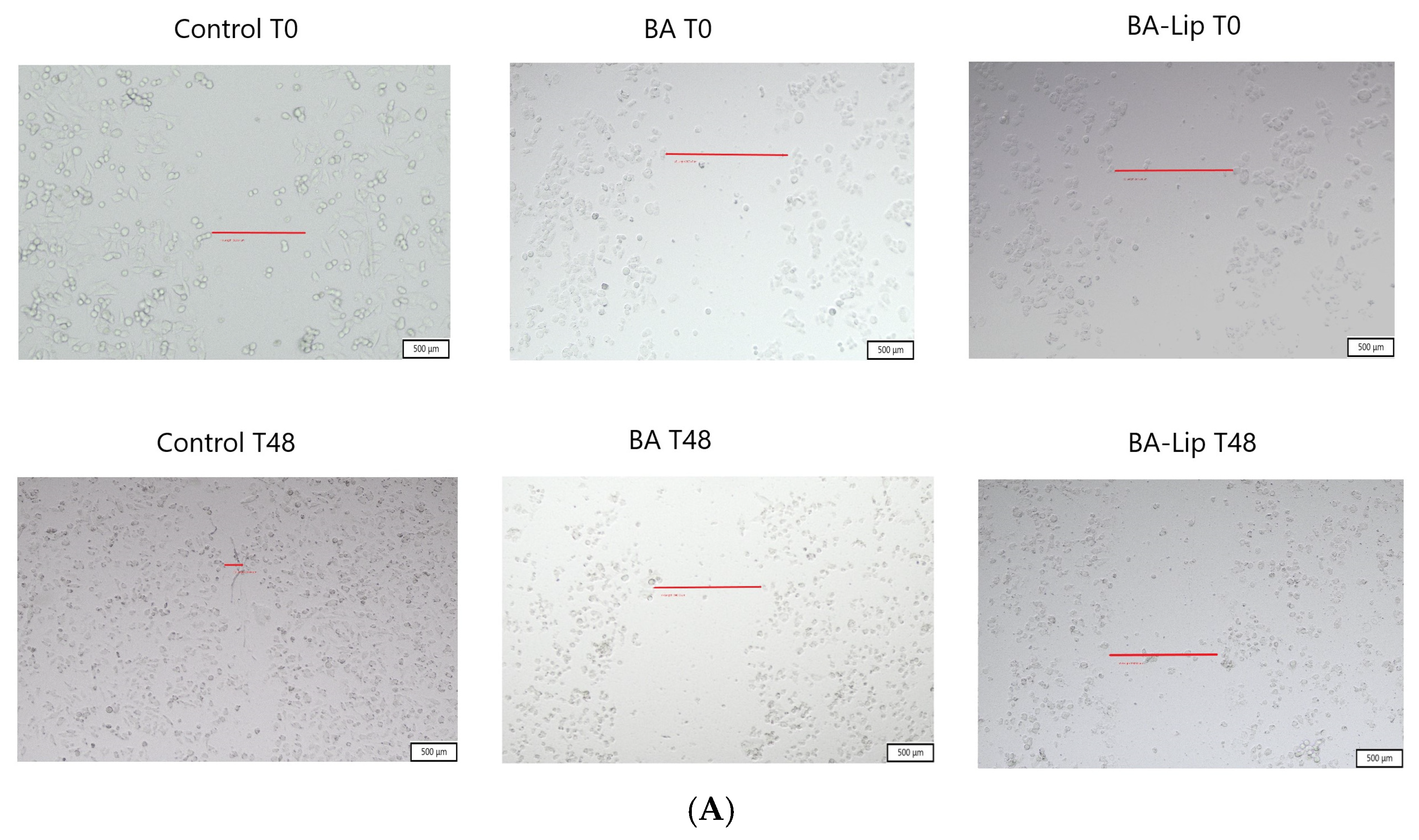 Processes 12 00416 g011a