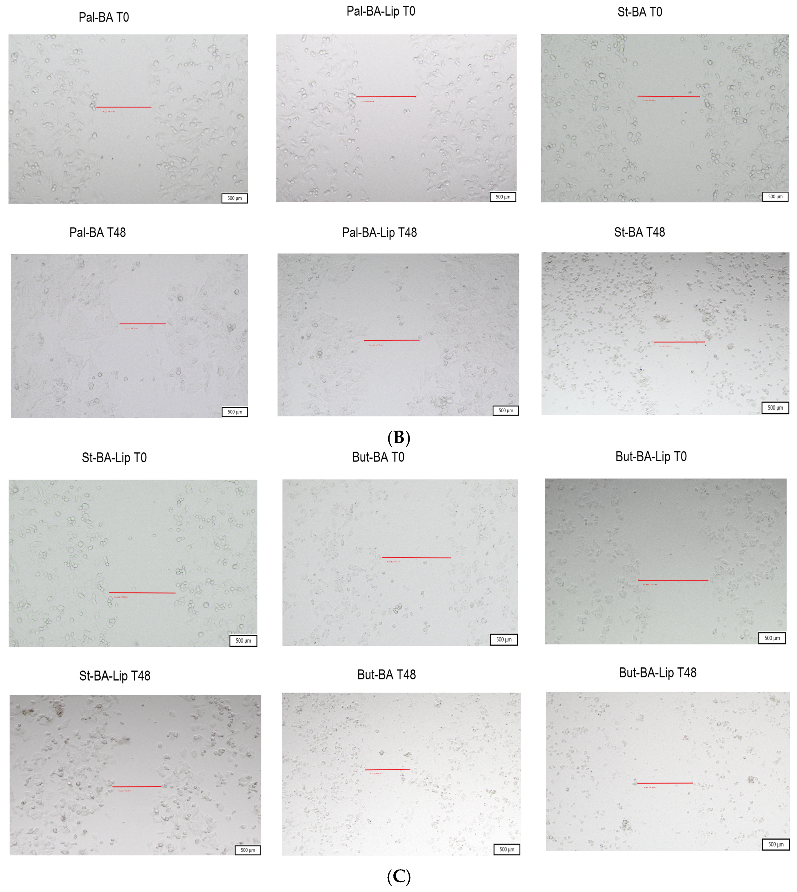 Processes 12 00416 g011b