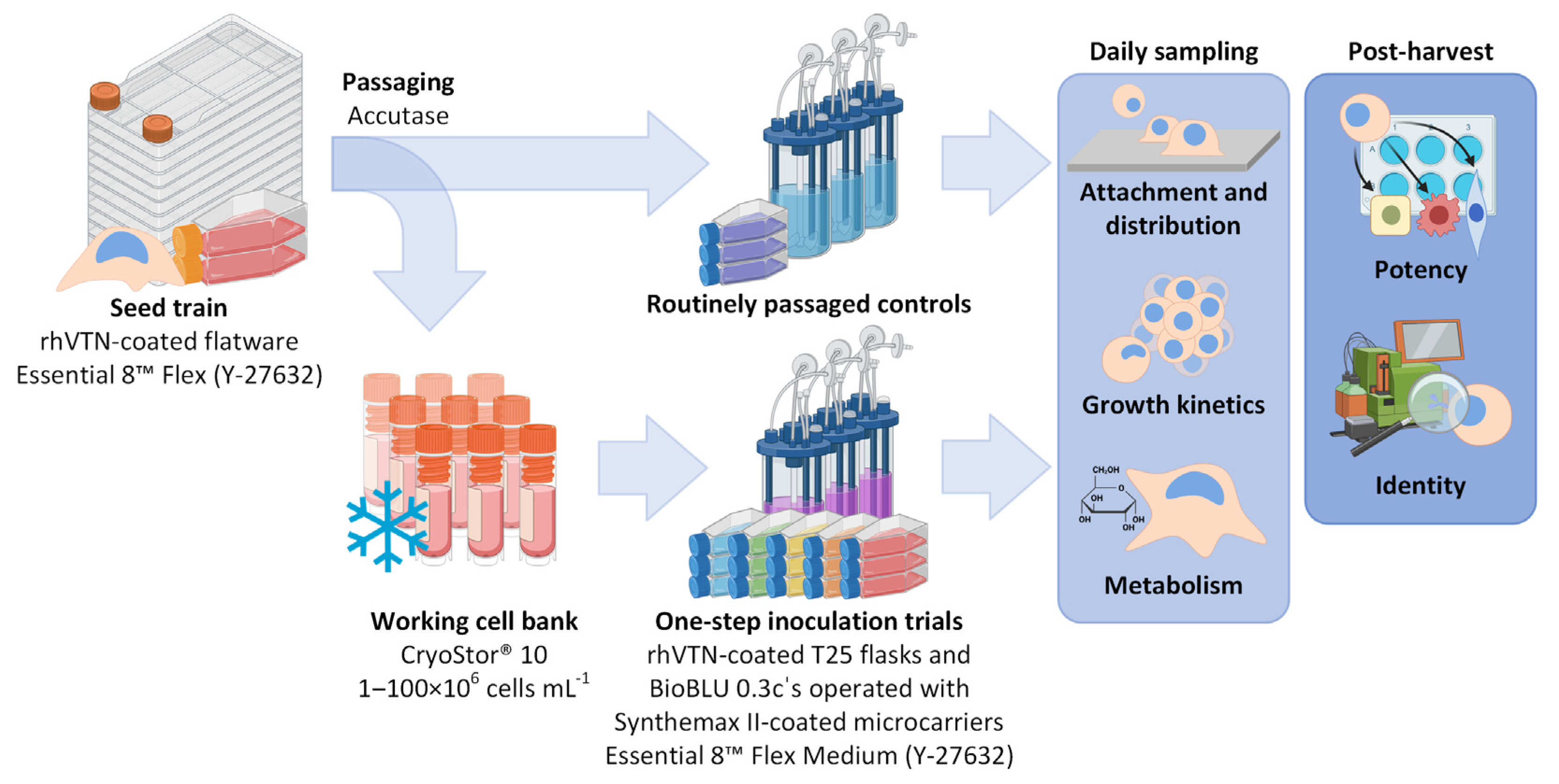 Processes 12 00426 g001 Processes 12 00426 g001