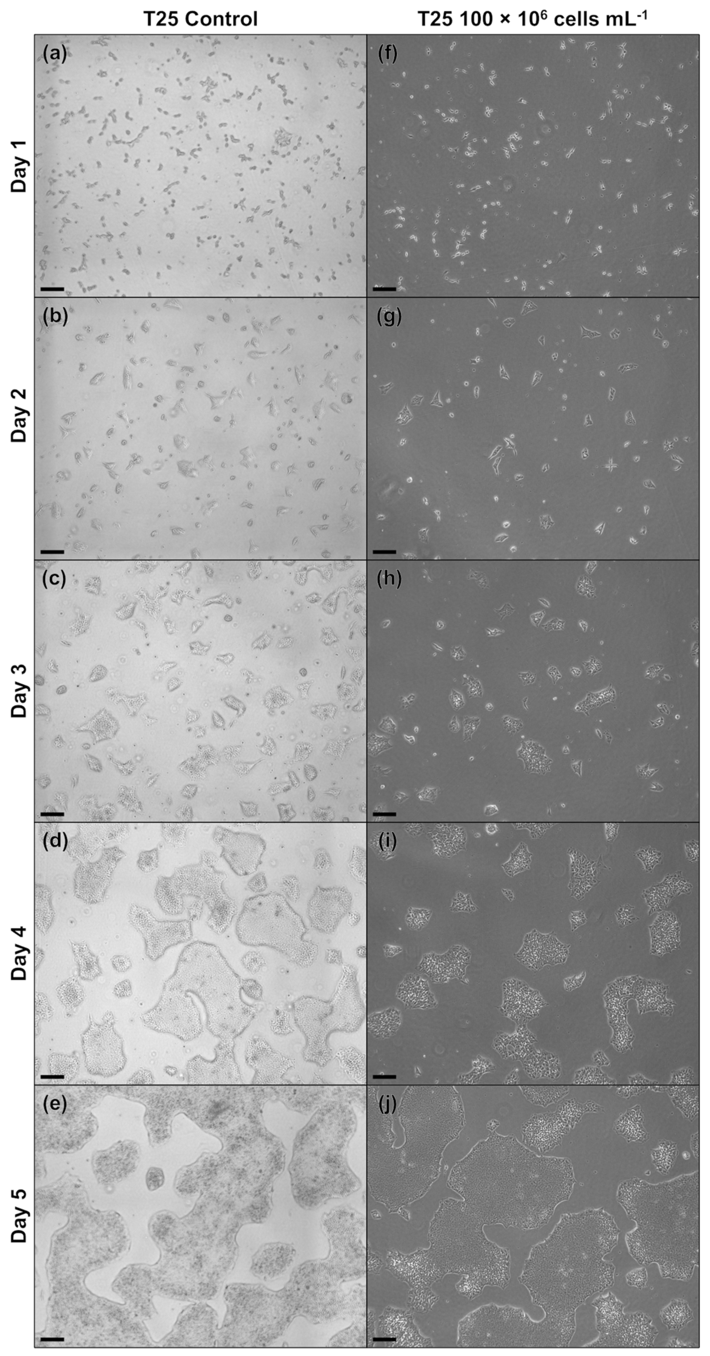 Processes 12 00426 g0a1 Processes 12 00426 g0a1