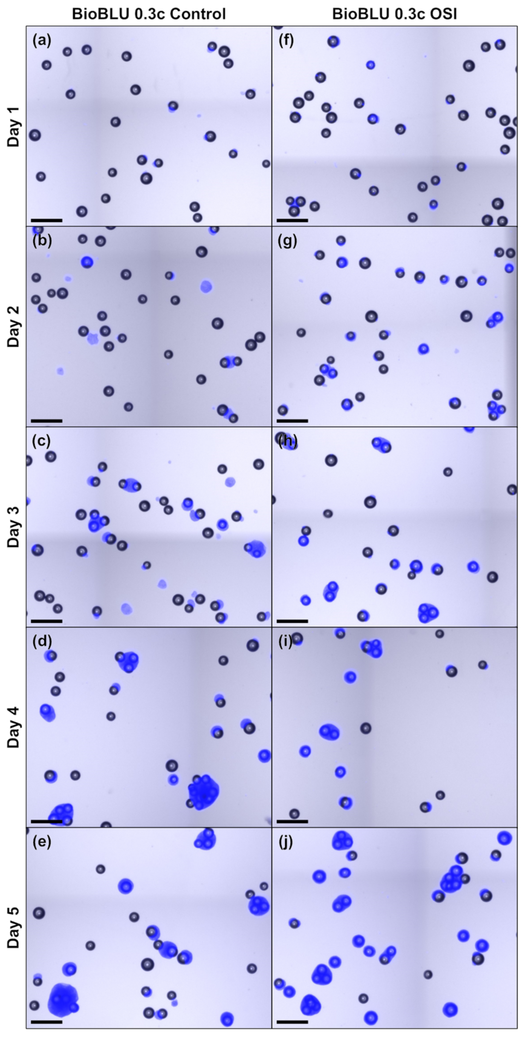 Processes 12 00426 g0a3 Processes 12 00426 g0a3