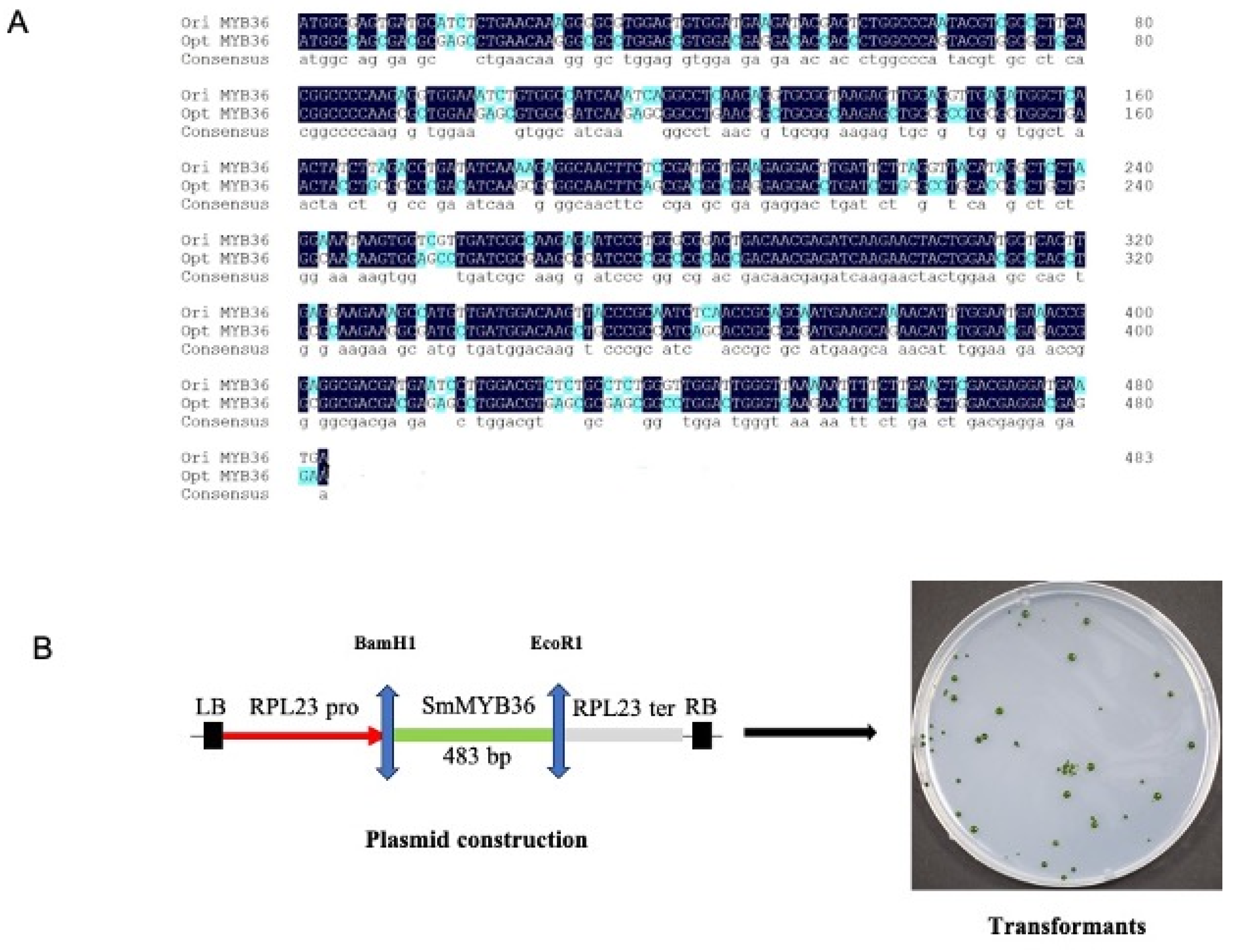 Processes 12 00487 g002