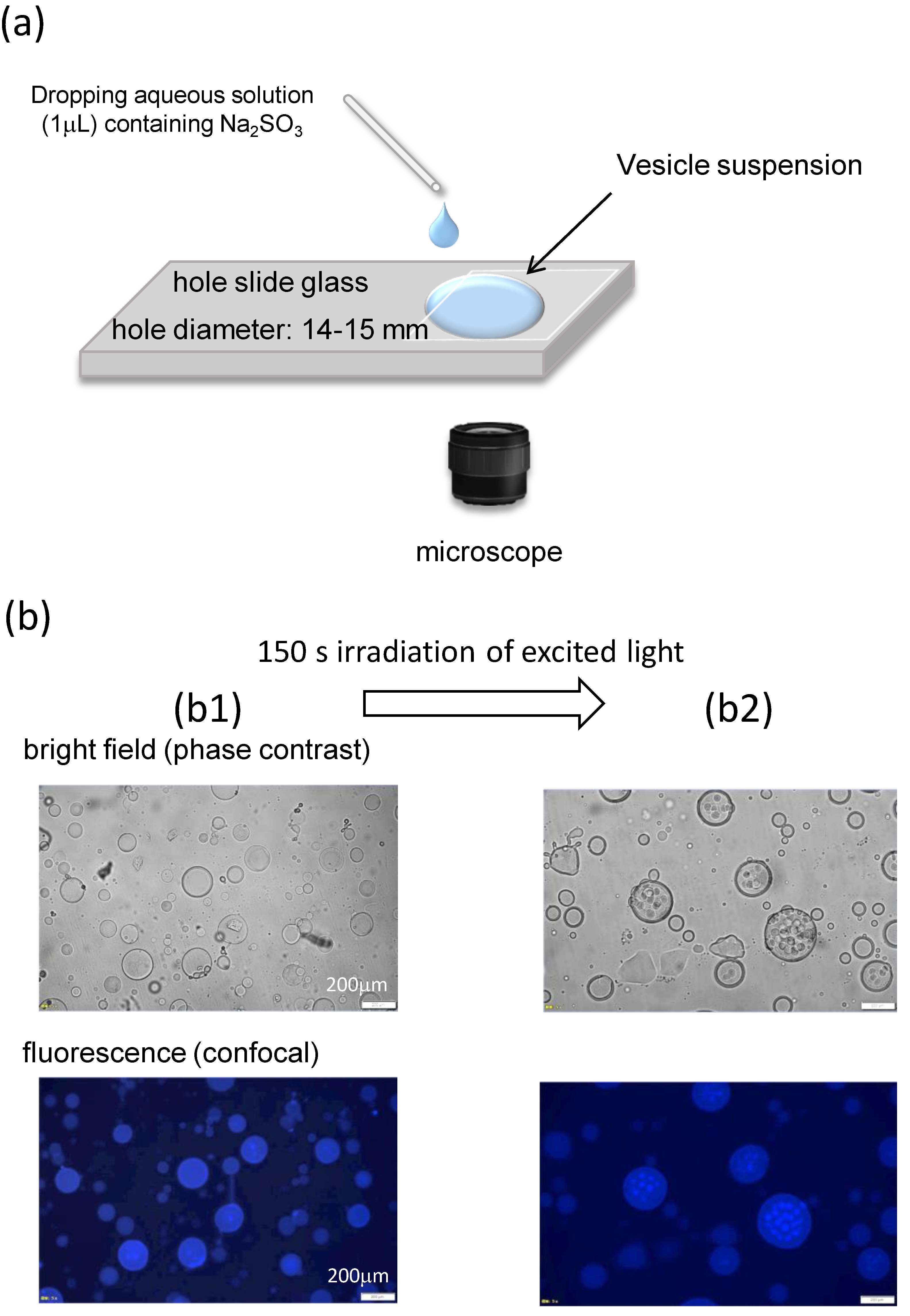 Processes 12 00514 g001