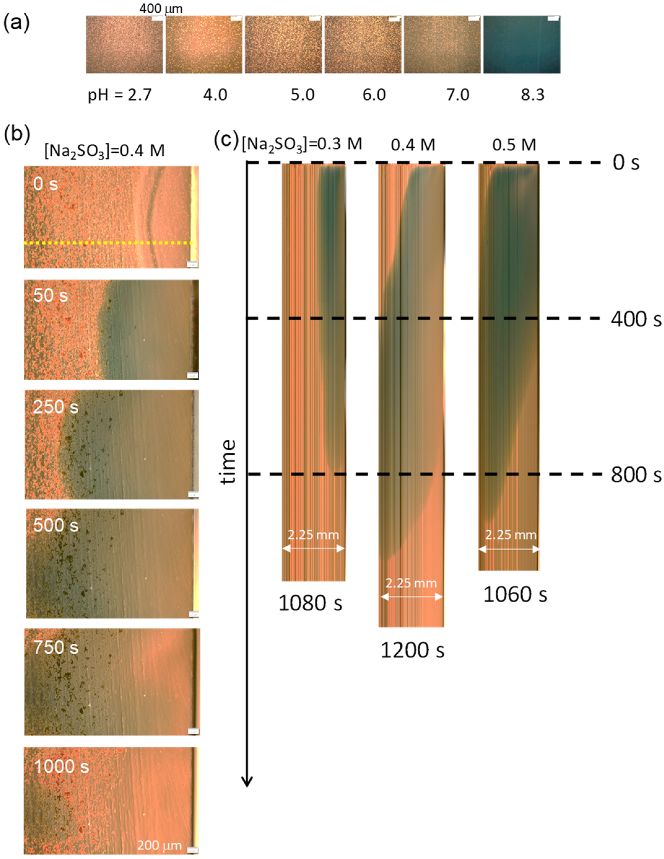 Processes 12 00514 g003