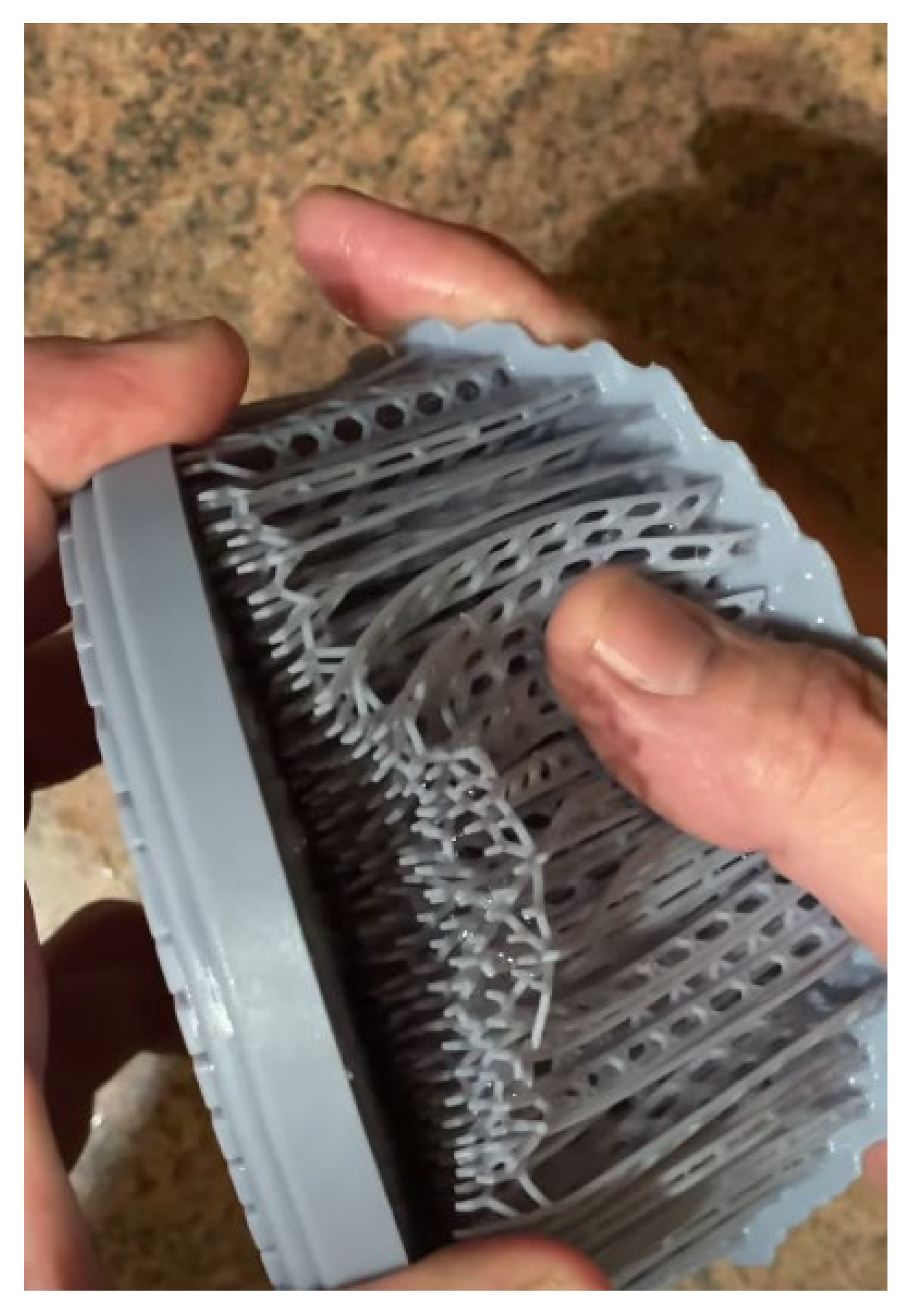 Processes 12 00595 g004