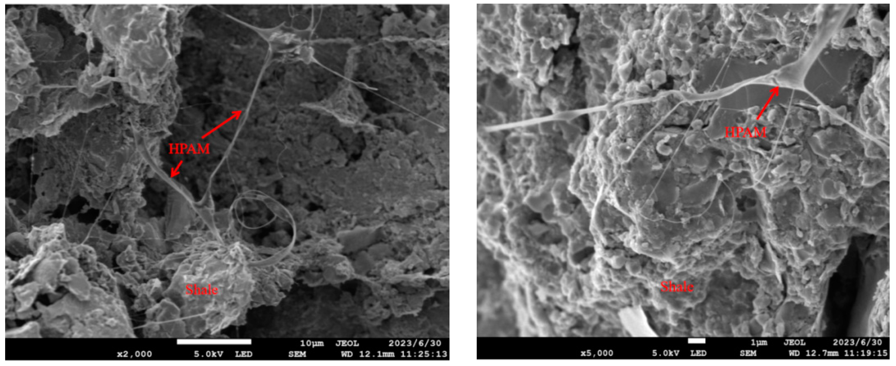 Processes 12 00606 g006