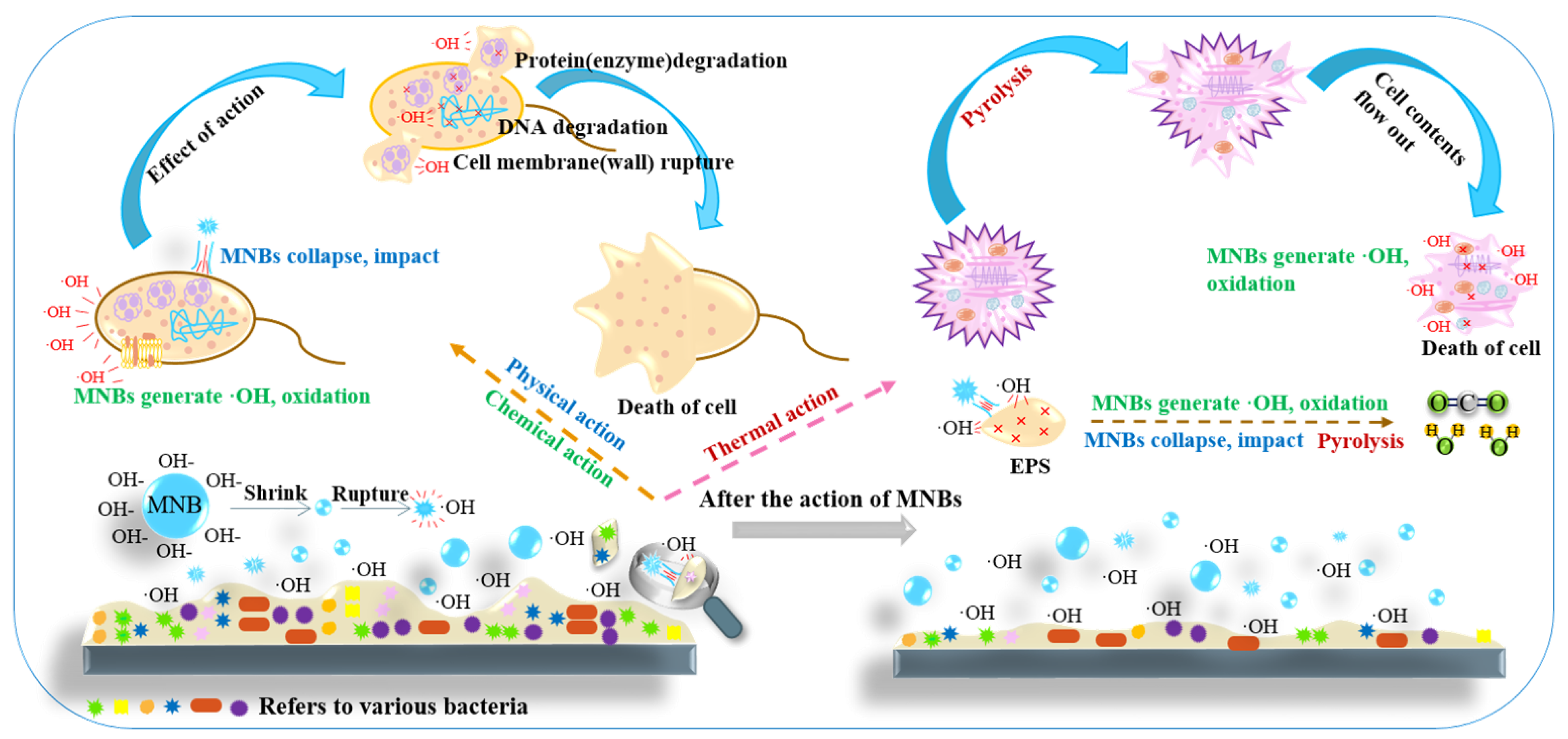Processes 12 00683 g005